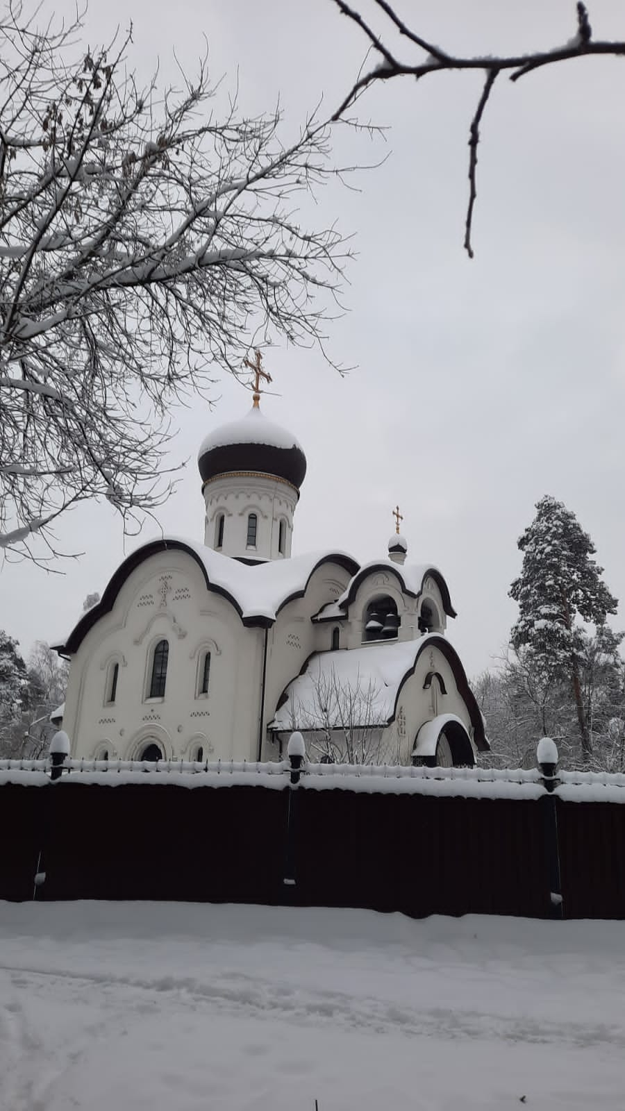 Фото участника: Макеев Александр 