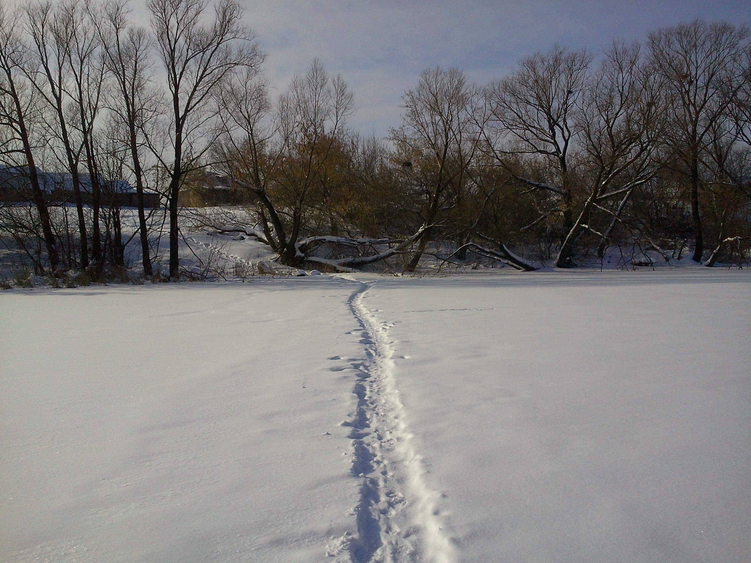 Фото участника: Ольга Валерьевна Абрамова
