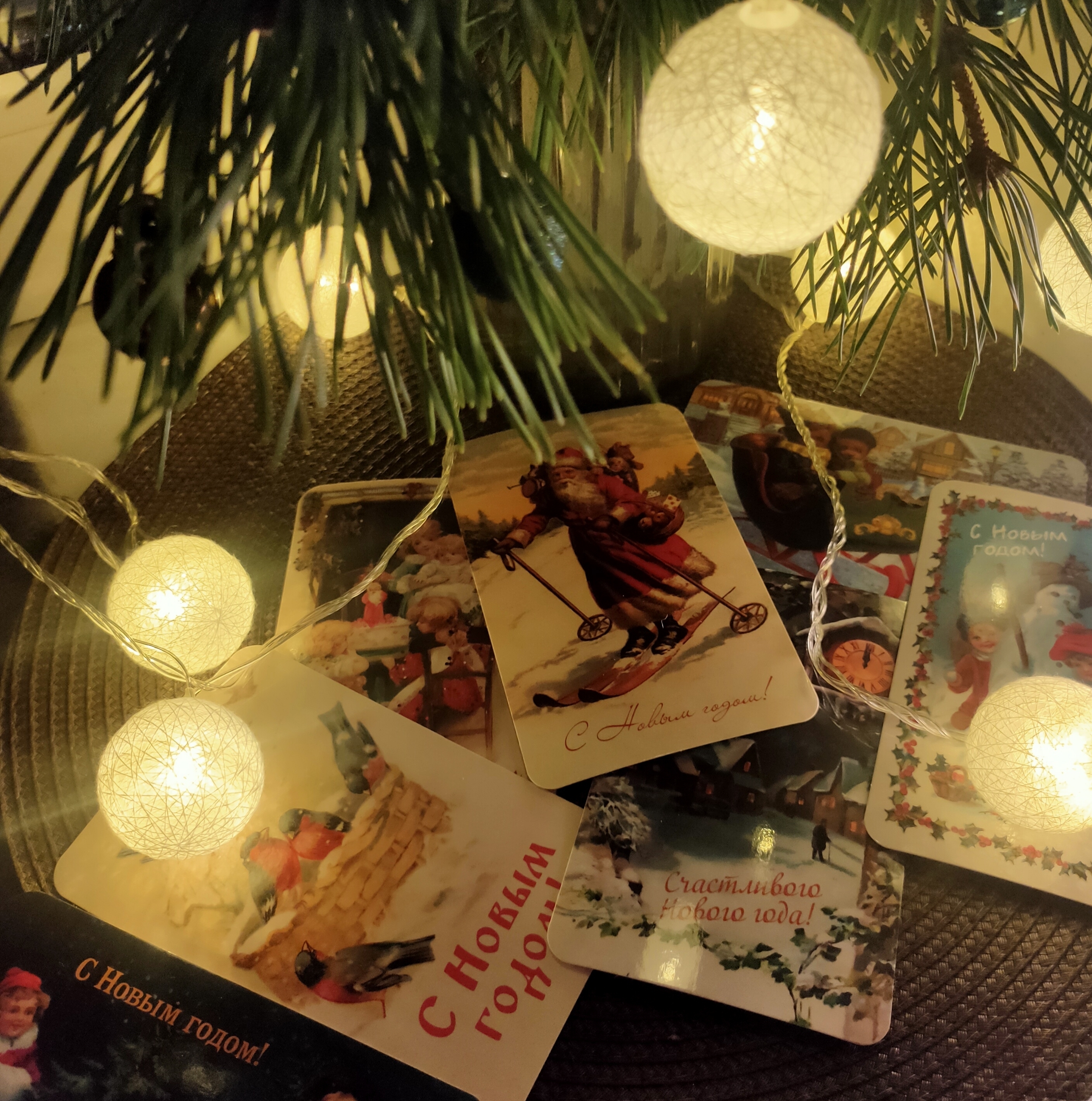 Фото участника: Татьяна Парчайкина