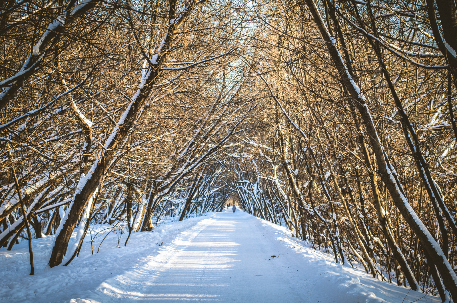 Фото участника: Вера Ужва