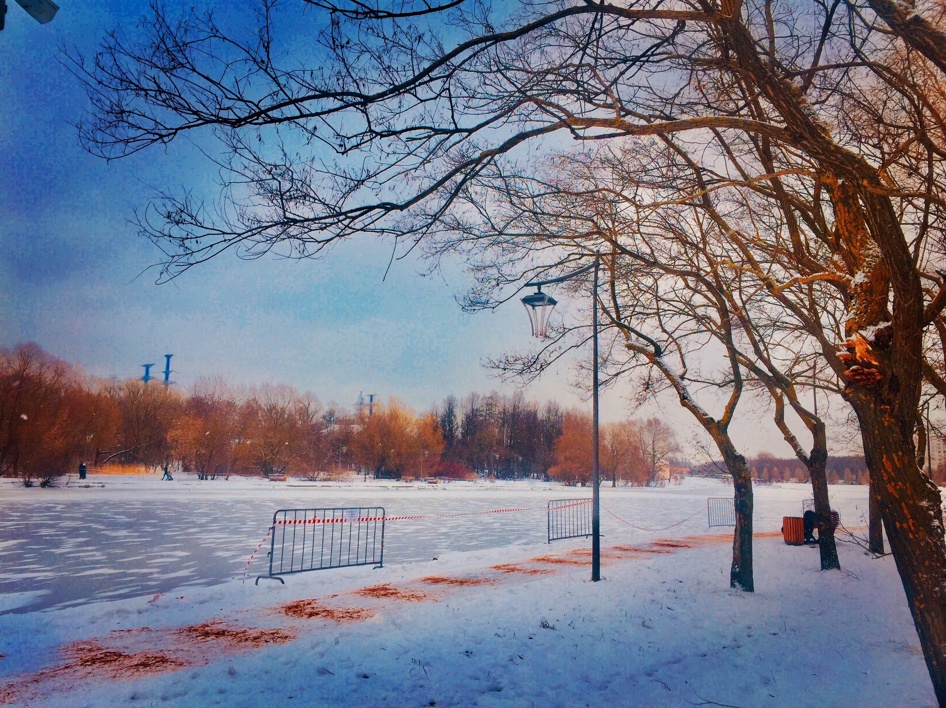Фото участника: Анастасия Попова