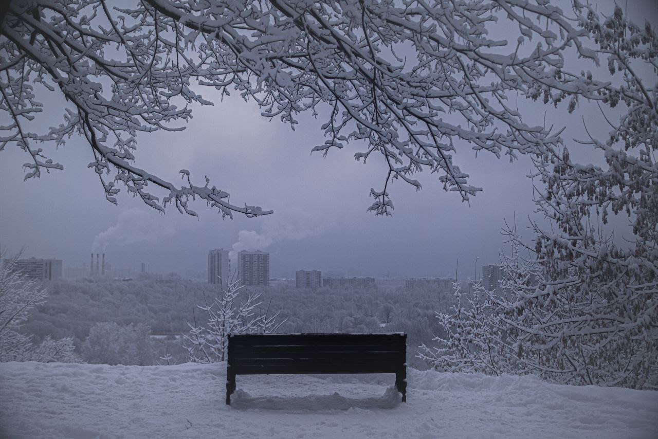 Фото участника: Нина Мельниченко