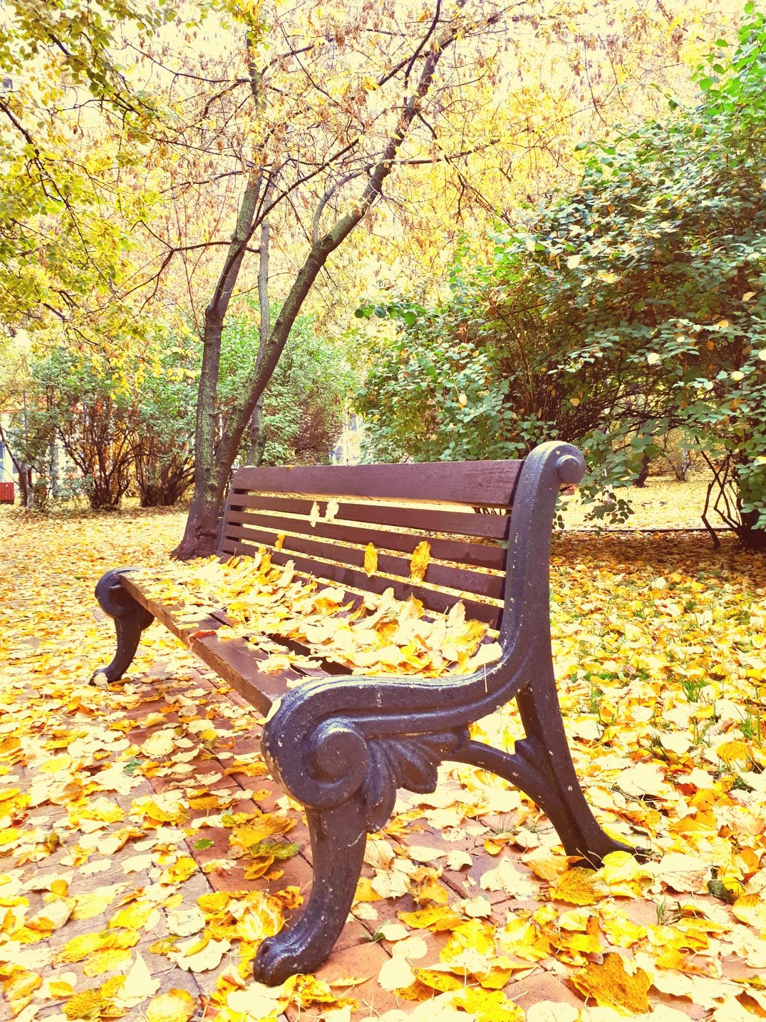 Фото участника: Котельникова Наиля