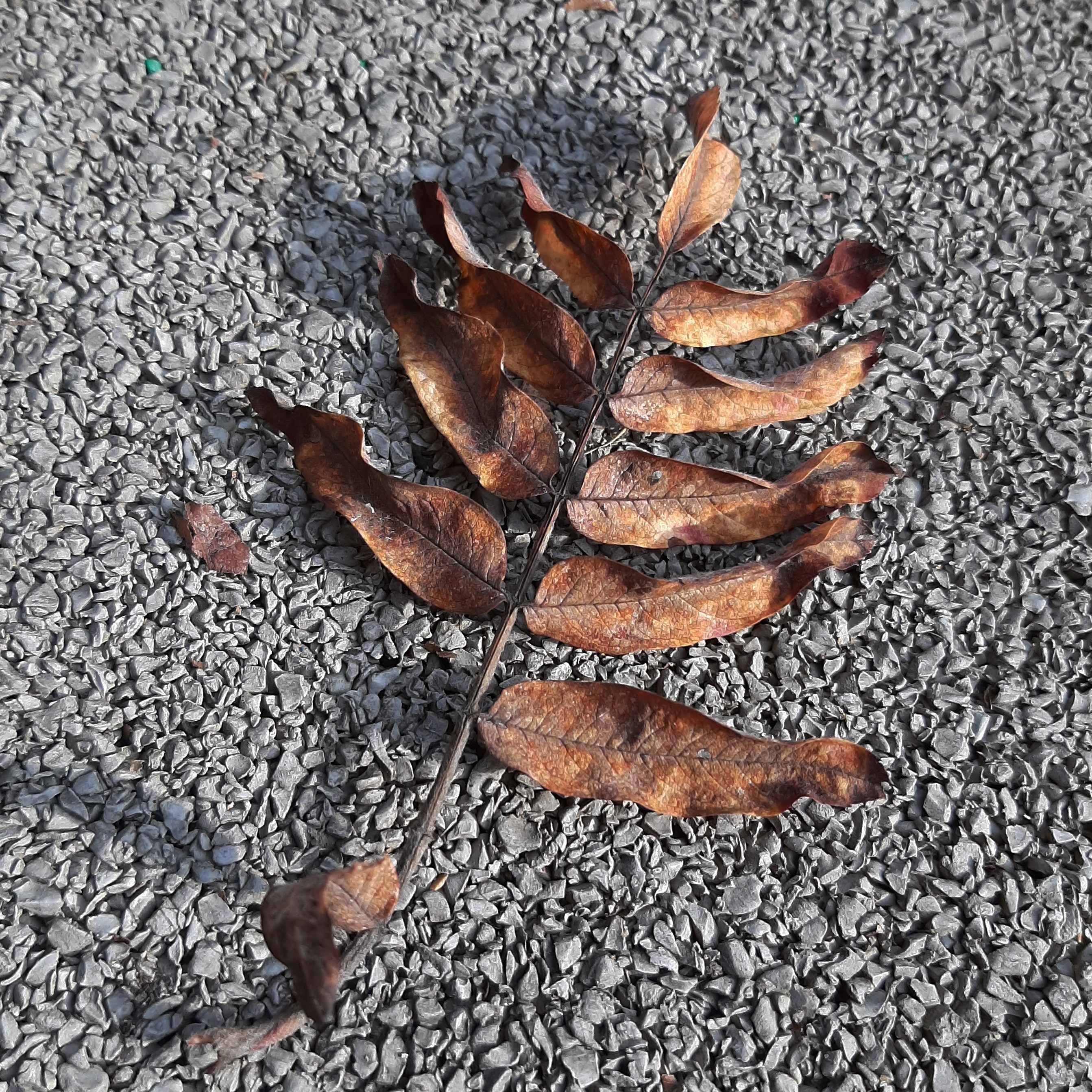 Фото участника: Баранова Наталья Николаевна