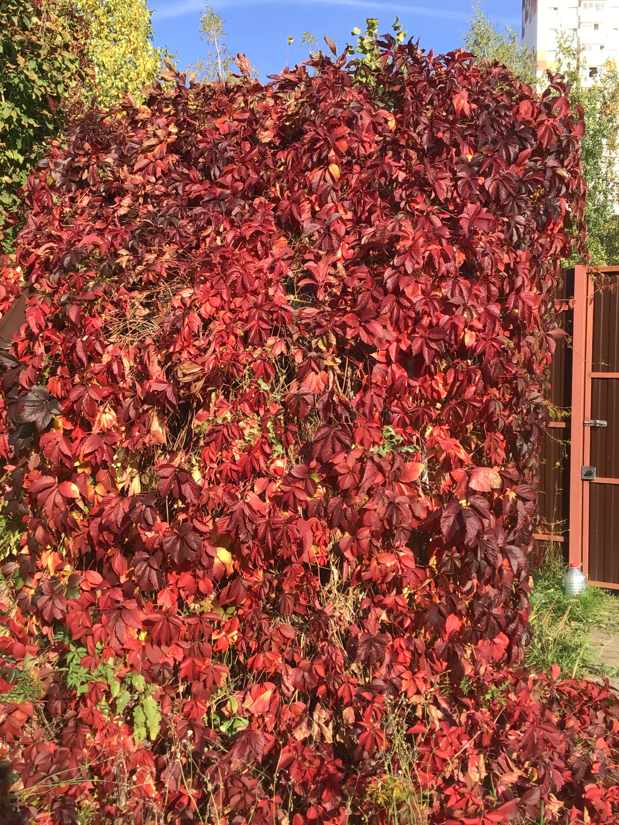 Фото участника: Наталья Осадчая