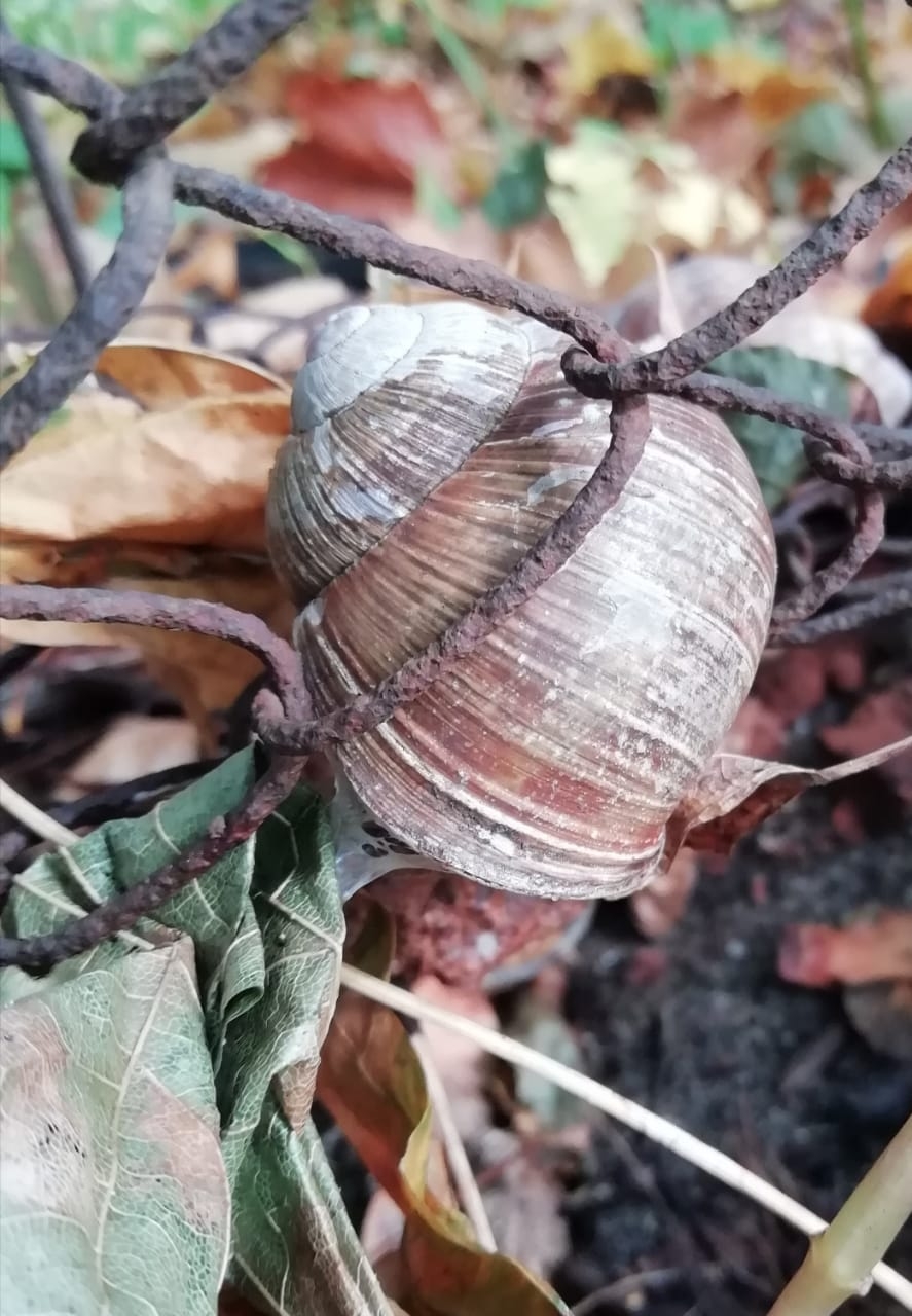 Фото участника: Юлия Пономарева