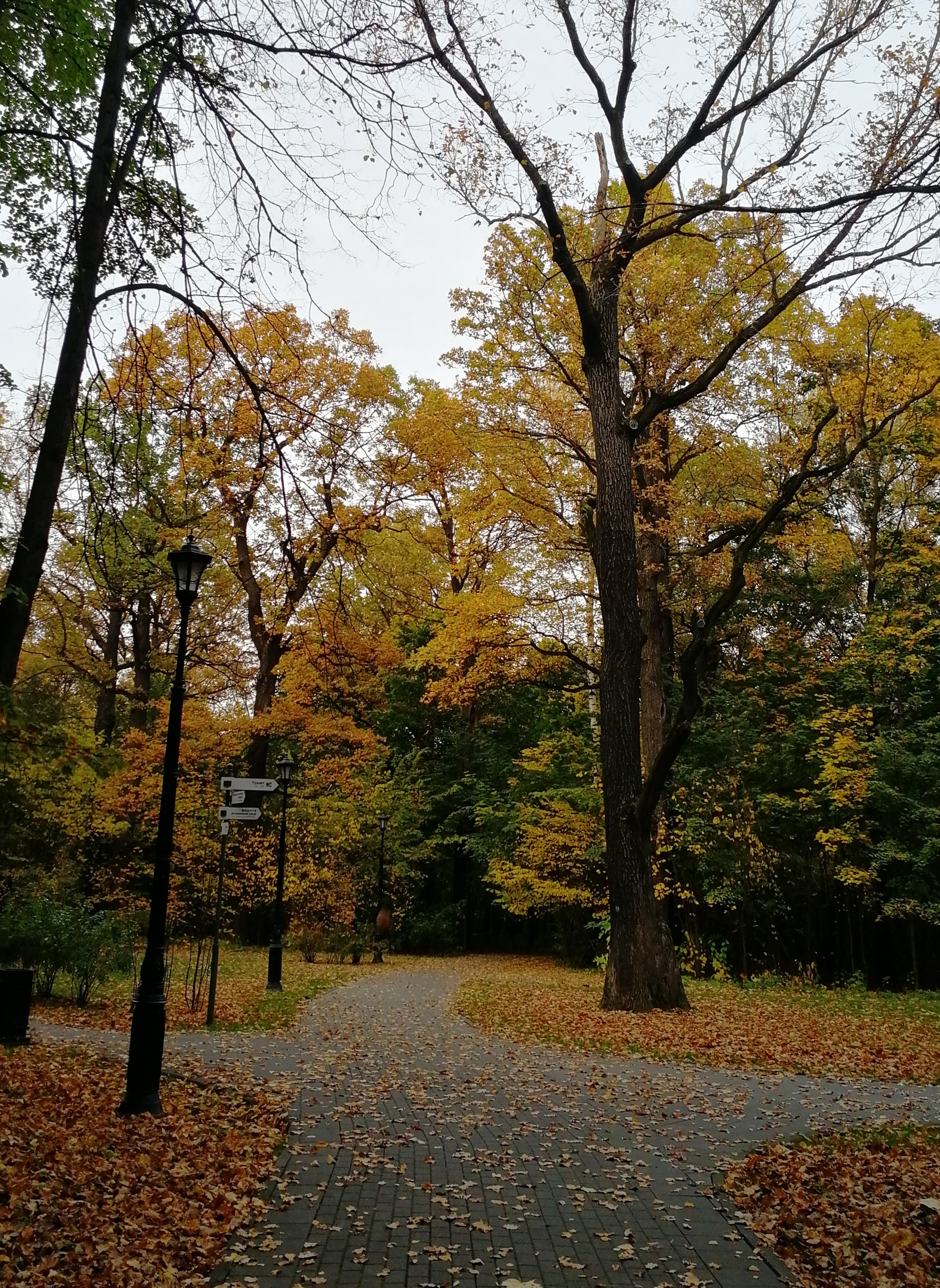 Фото участника: Анна Филатова