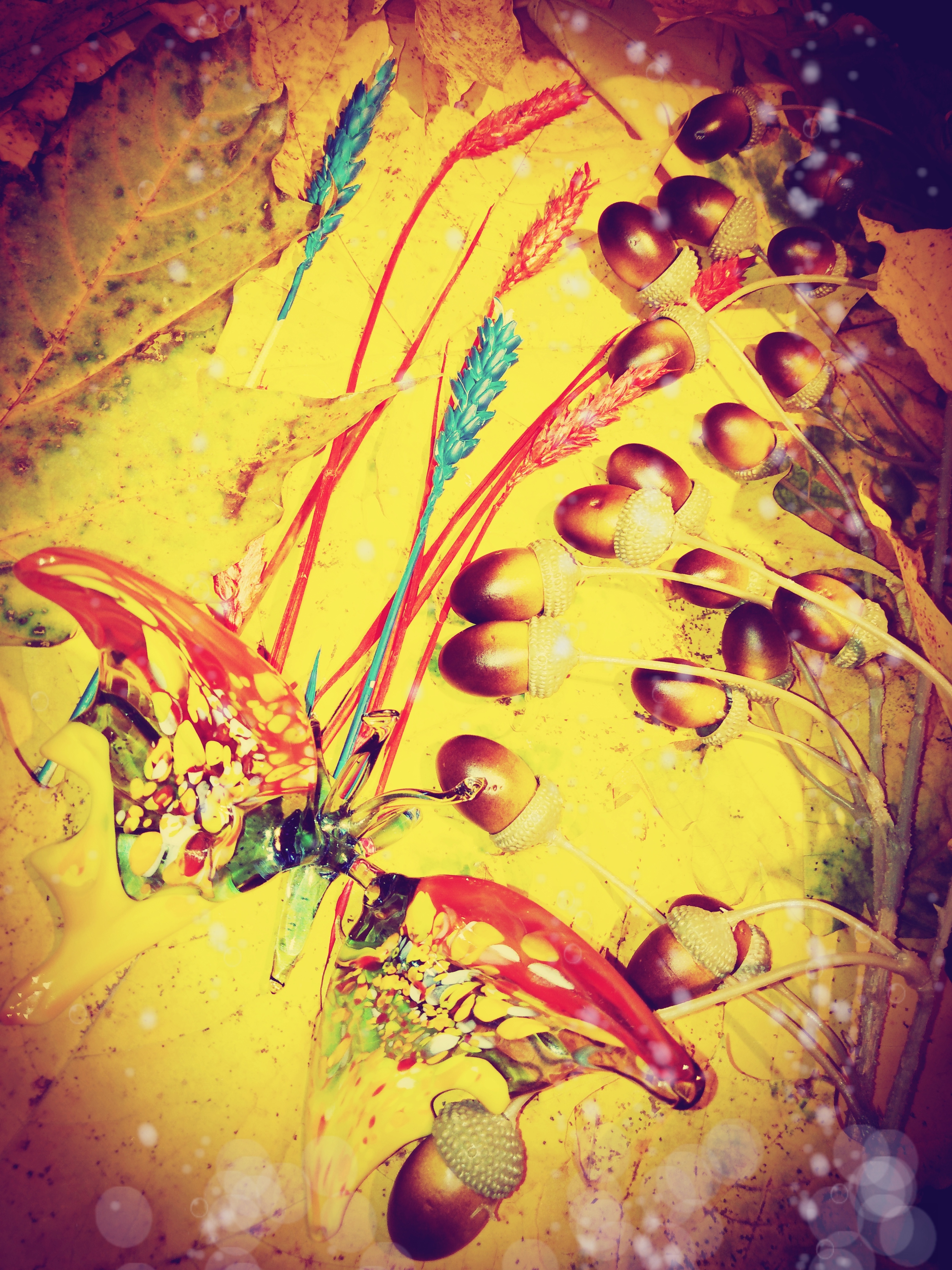 Фото участника: Ирина полунина