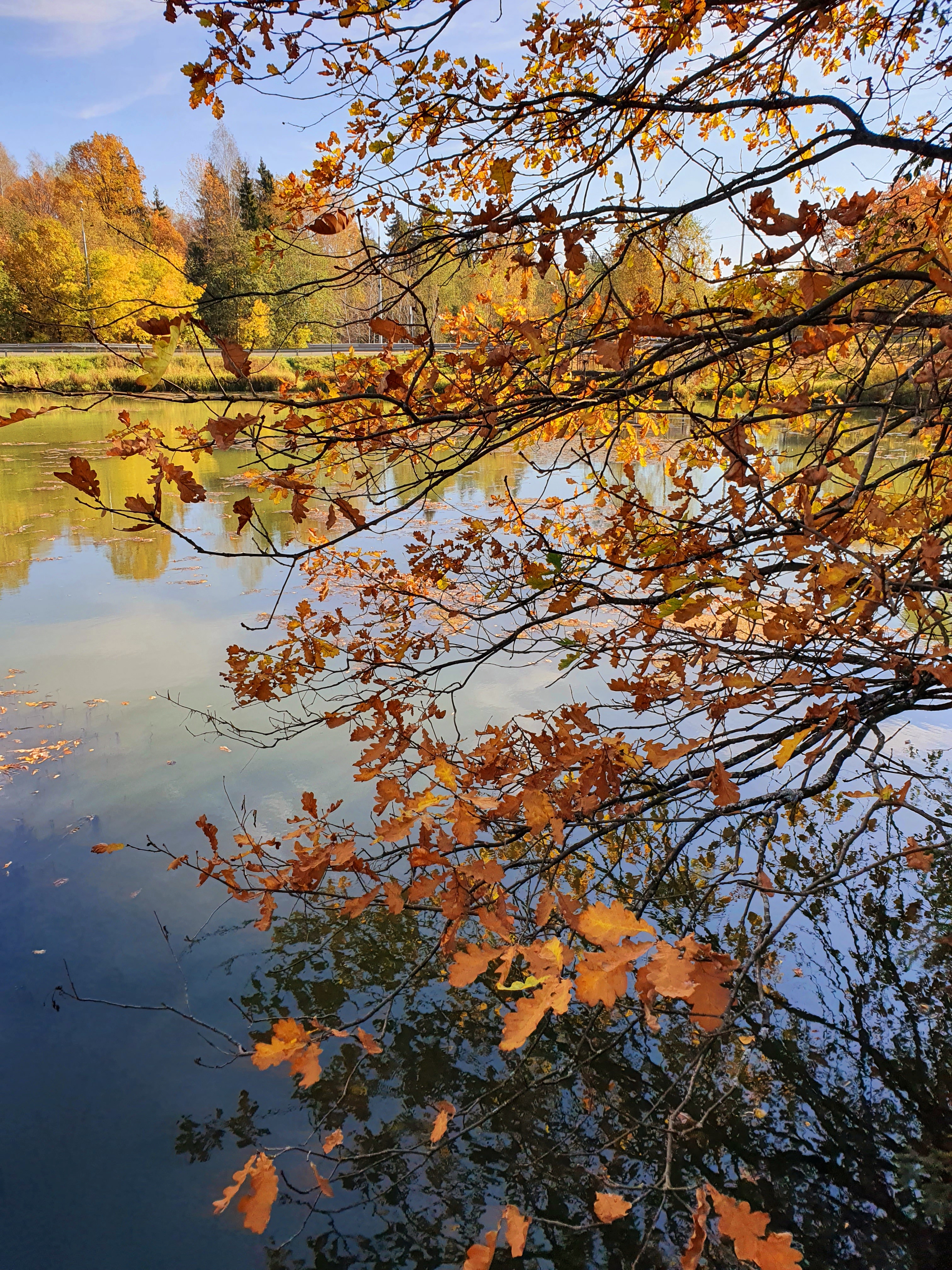 Фото участника: Екатерина Гришина