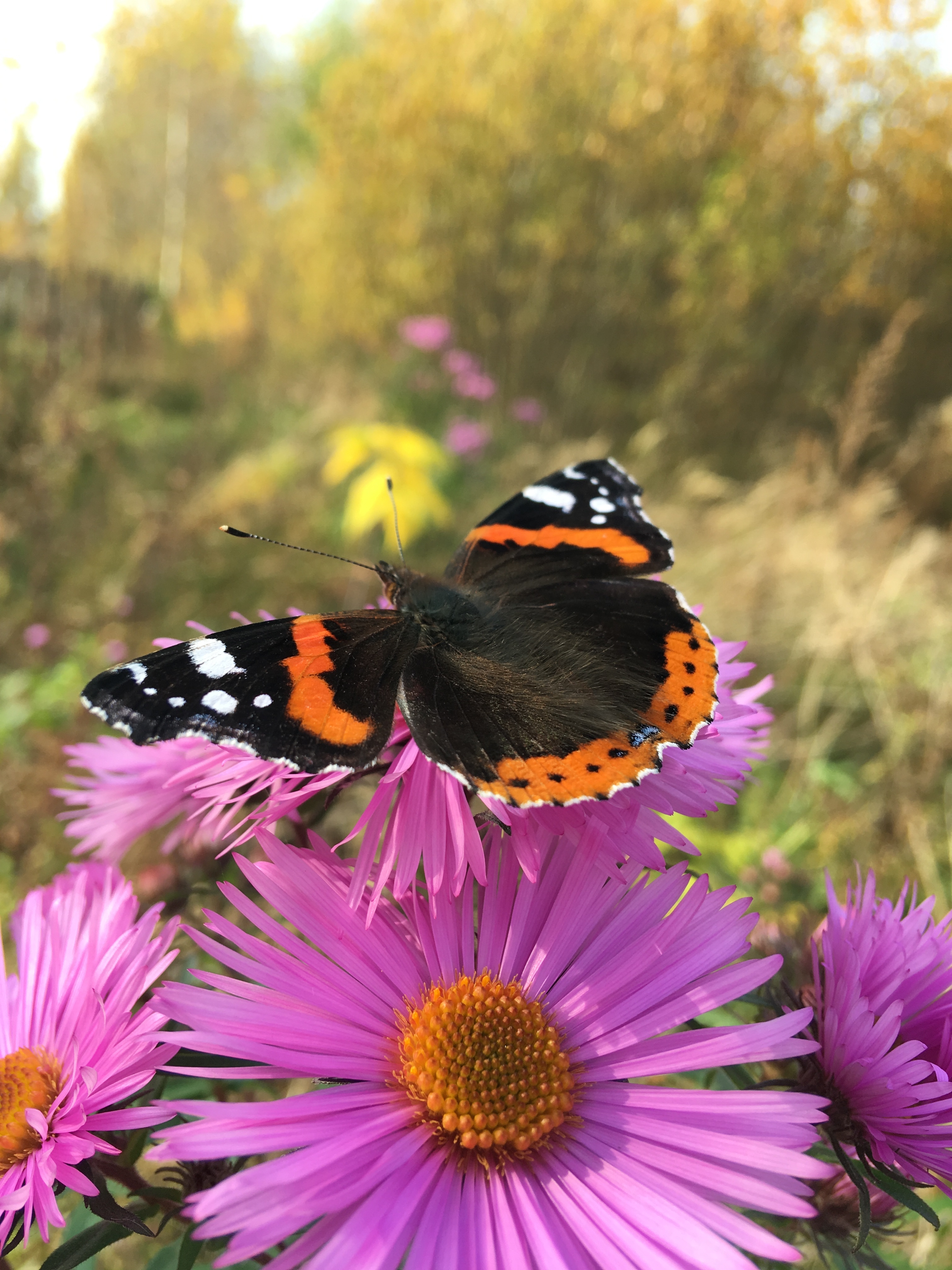 Фото участника: Юлия К.
