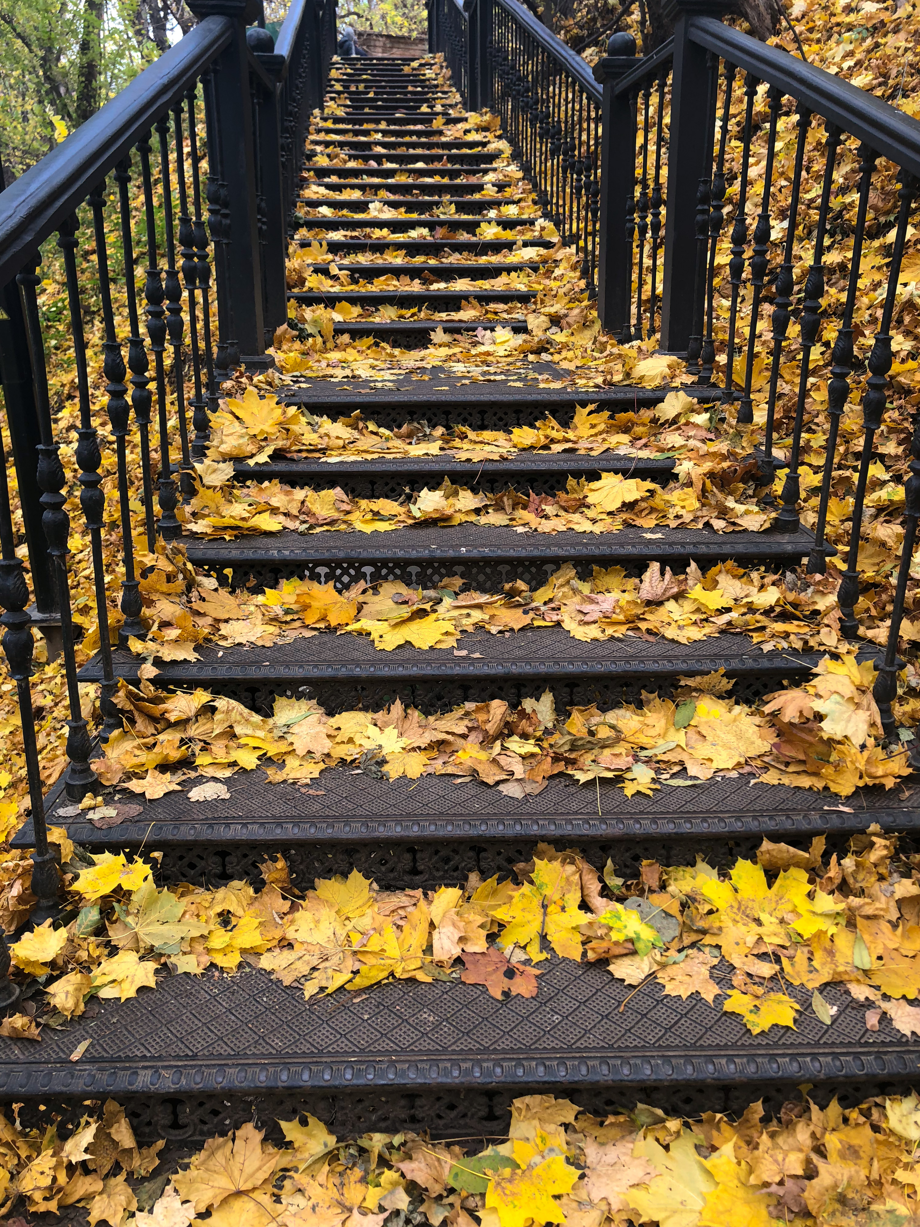 Фото участника: Богданова Екатерина