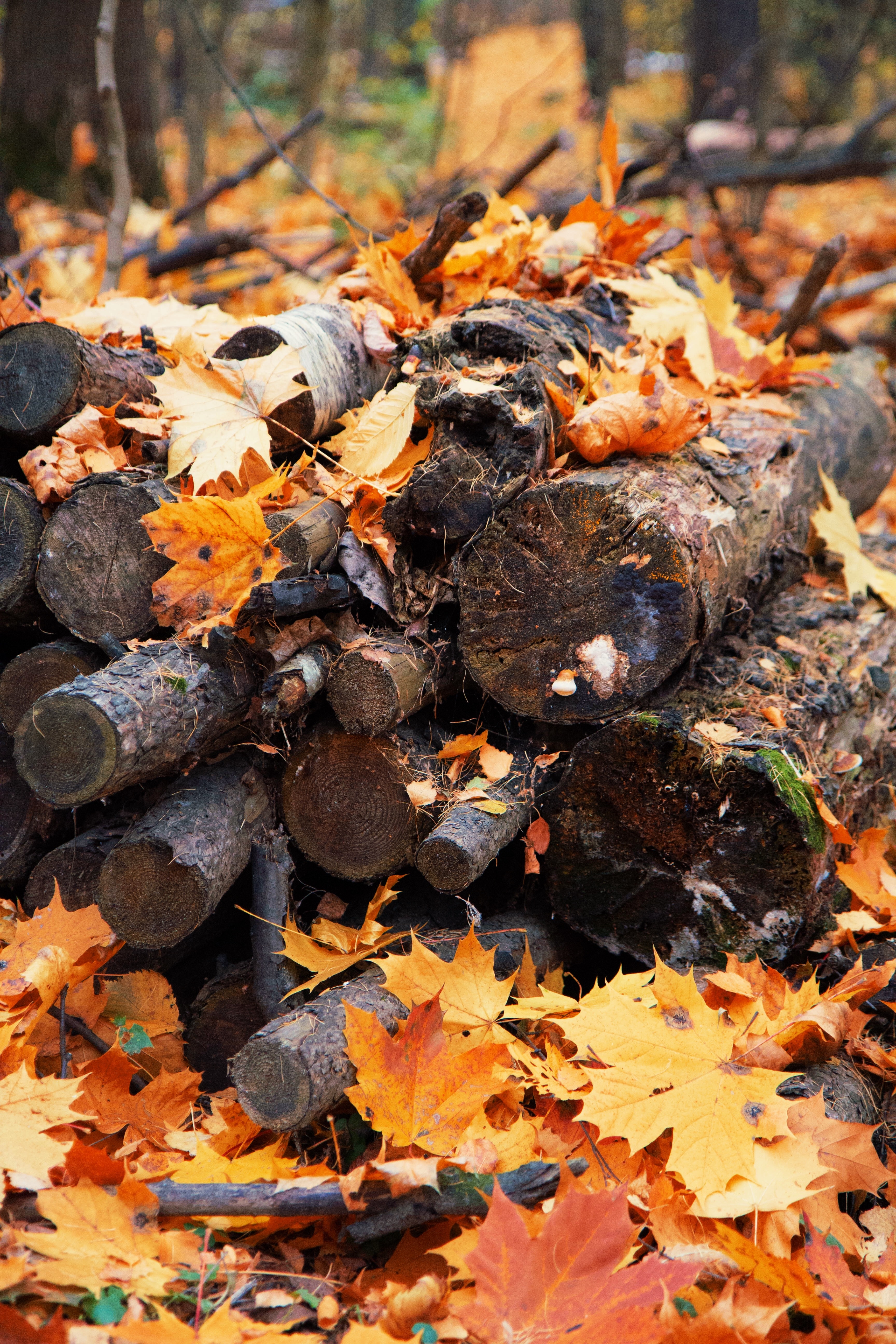 Фото участника: Марина Григорьева