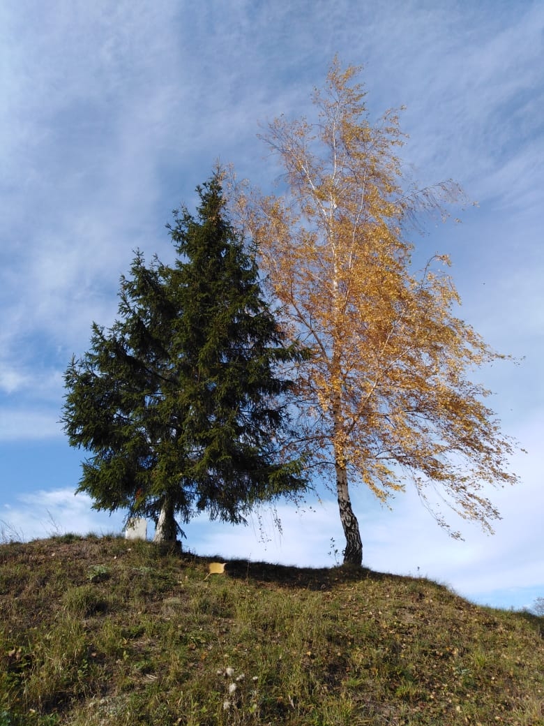 Фото участника: Екатерина Колобкова