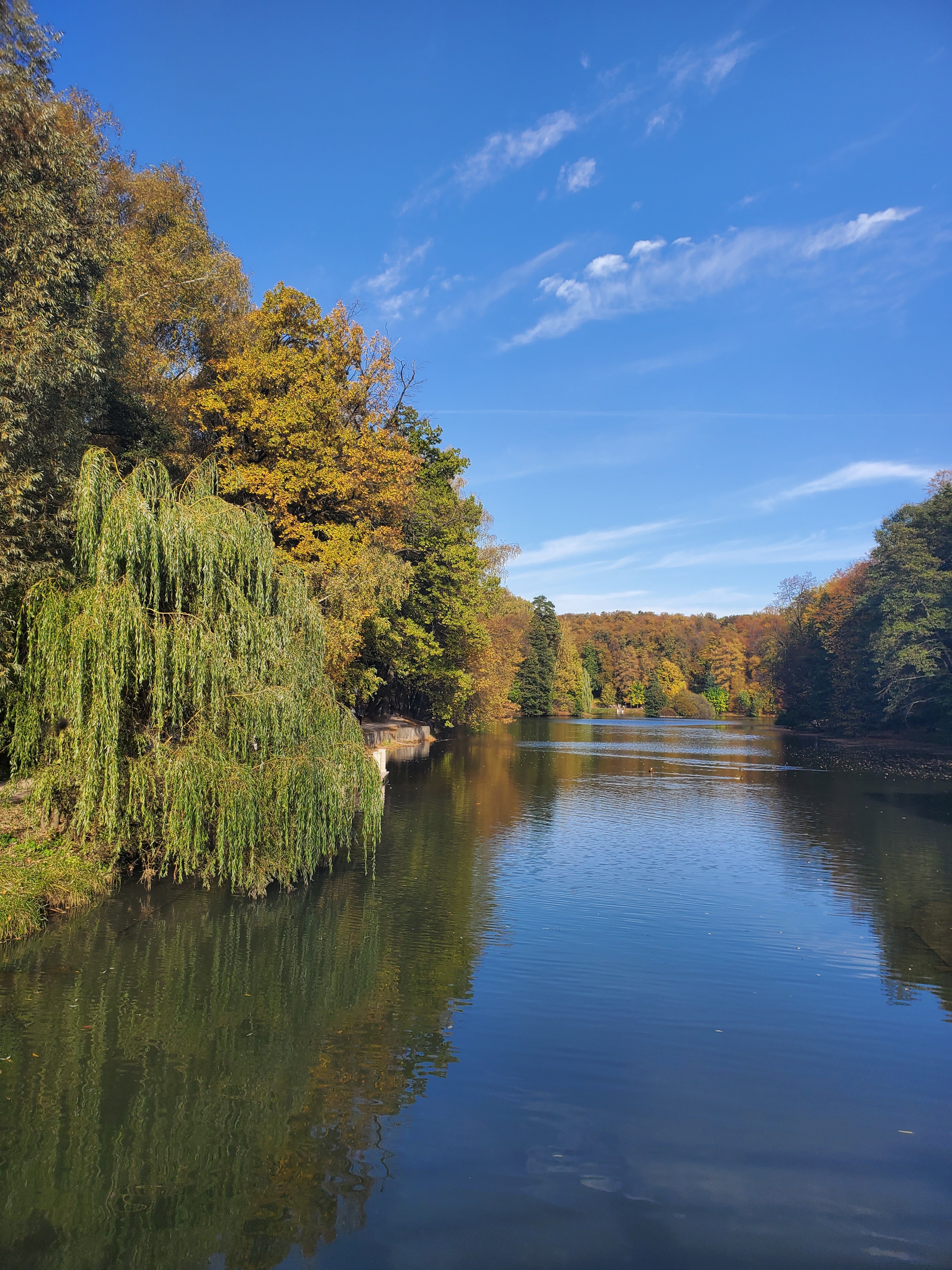 Фото участника: Артюшенко Василий