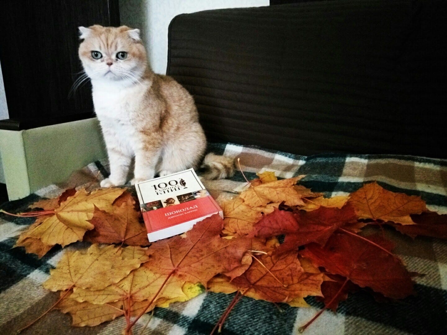 Фото участника: Наумова Екатерина