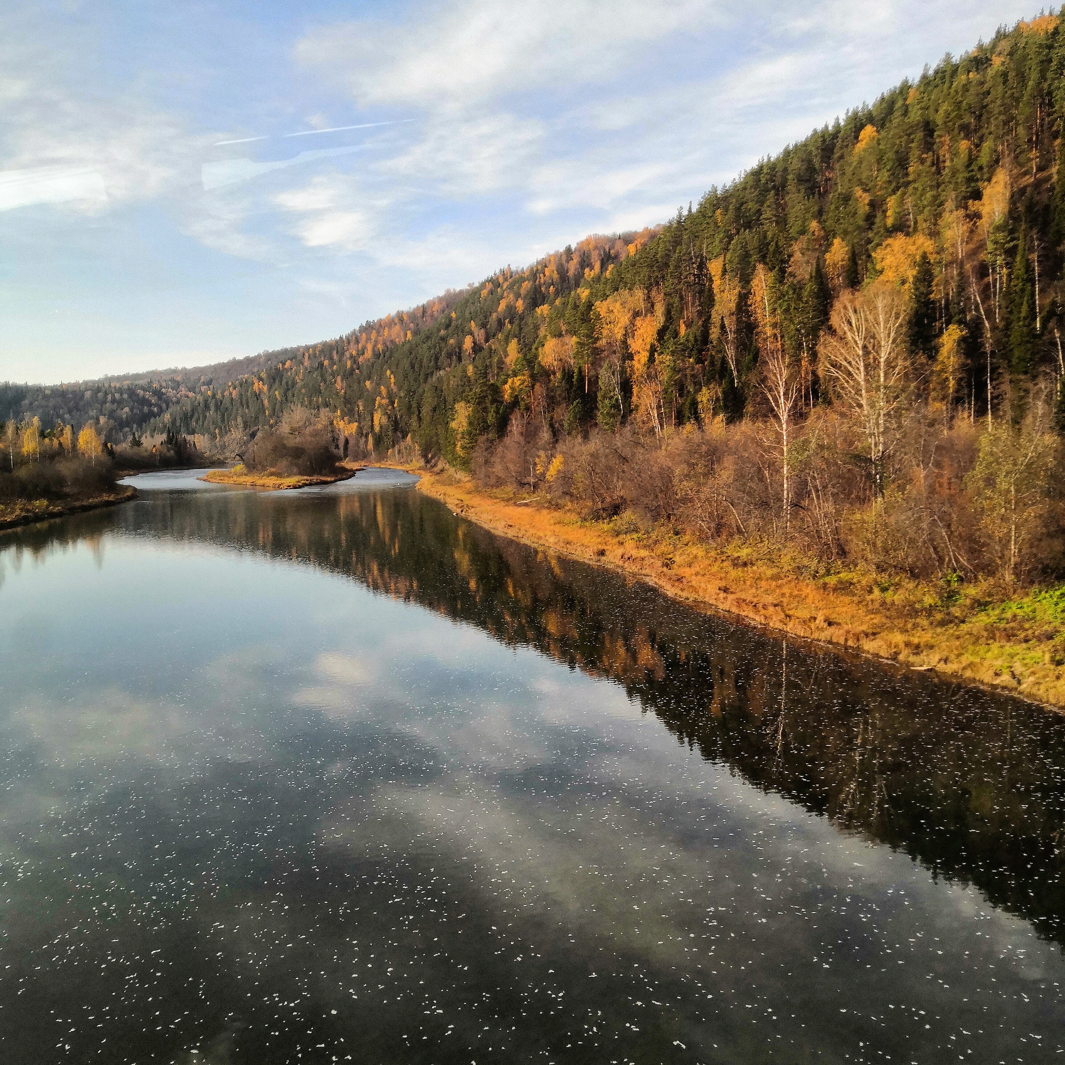 Фото участника: Файзуллина Алиса