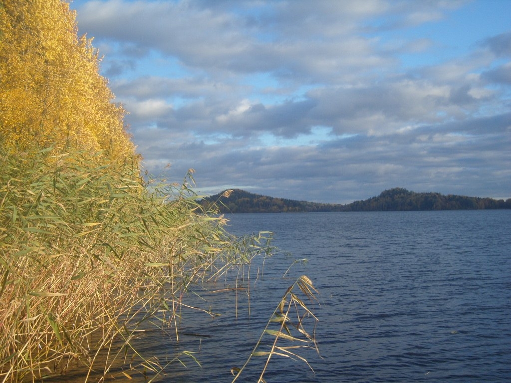 Фото участника: Татьяна Харина