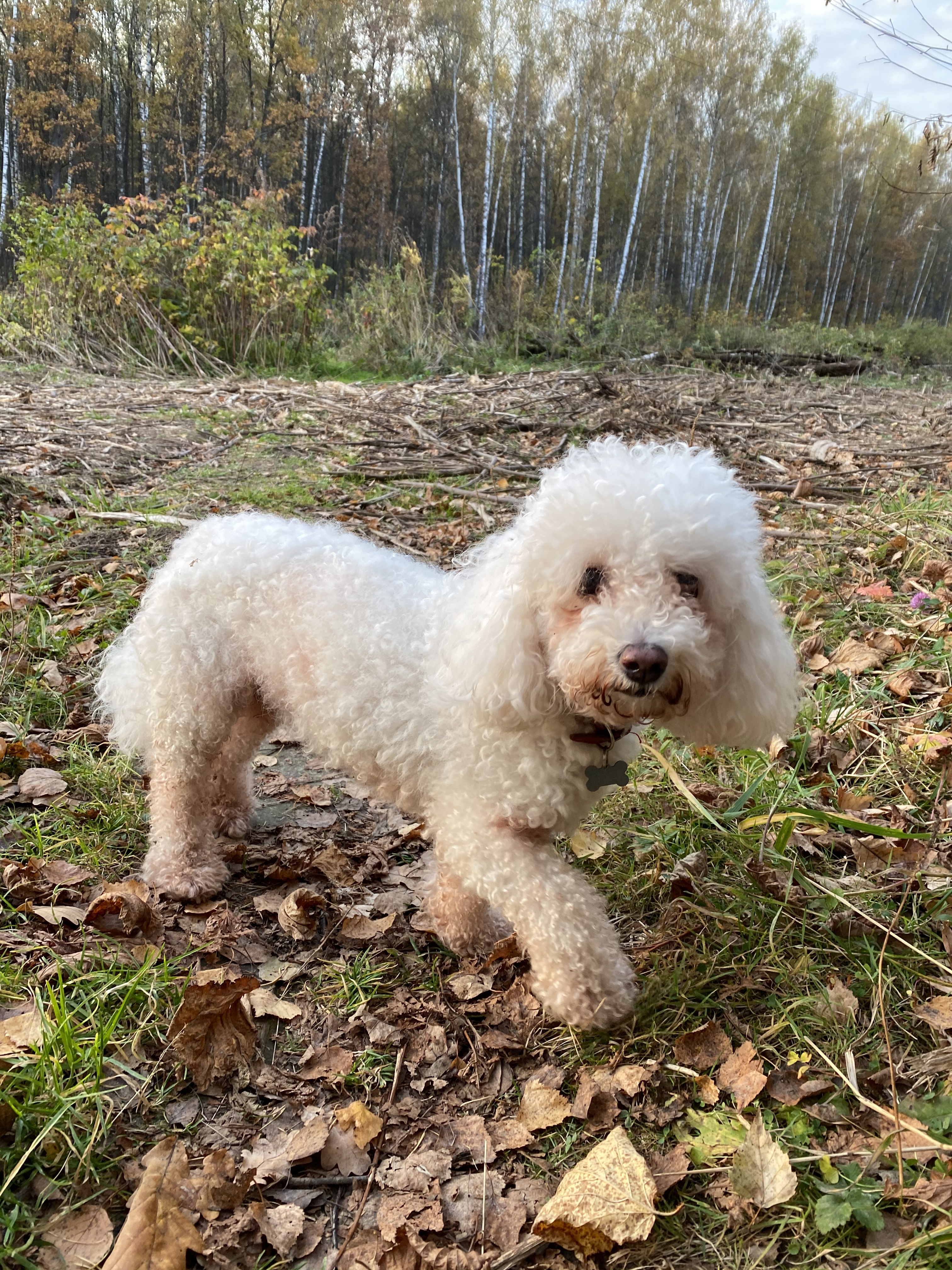 Фото участника: Влада Княжева