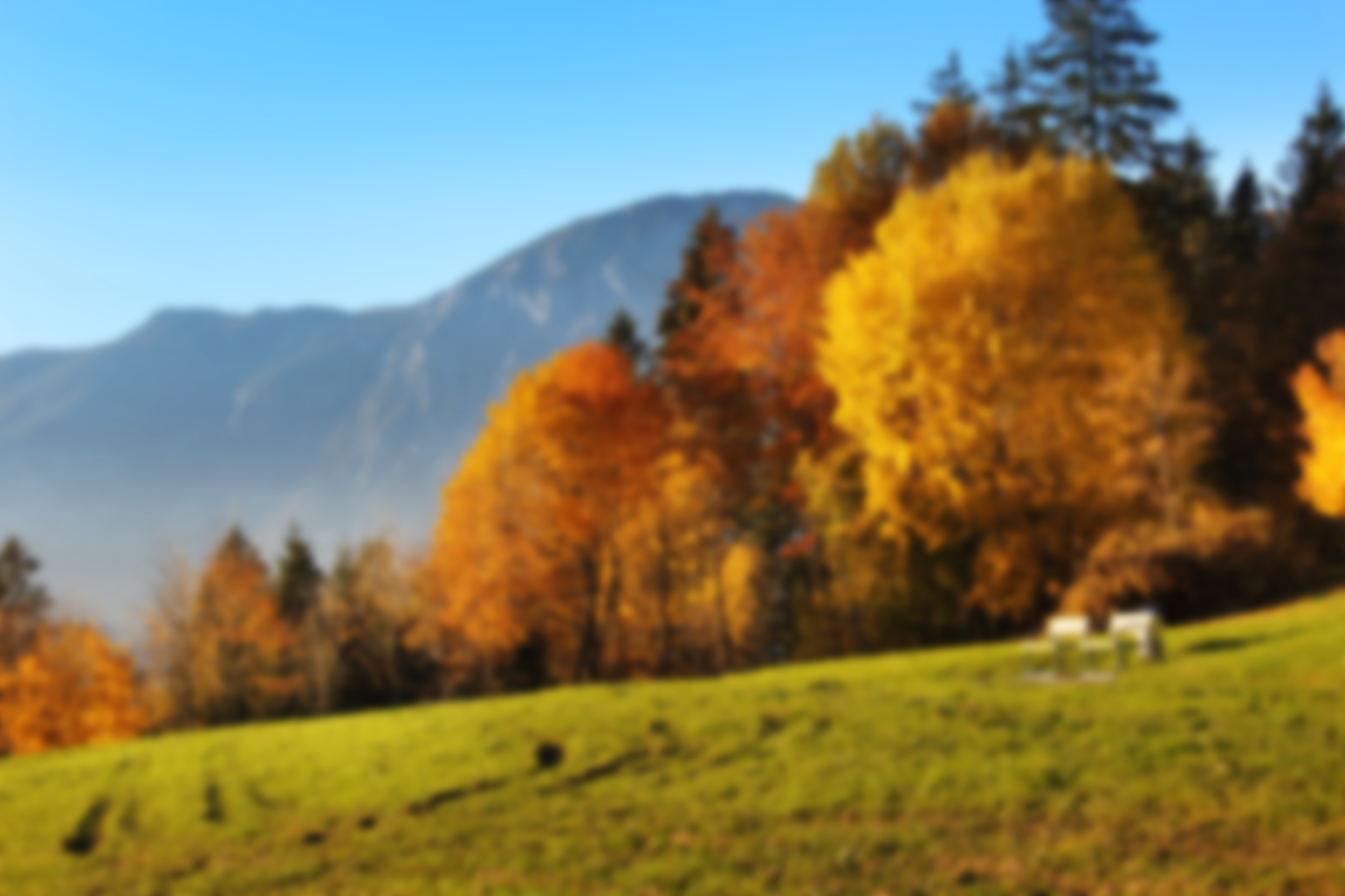 Фото участника: Надежда Казаковцева