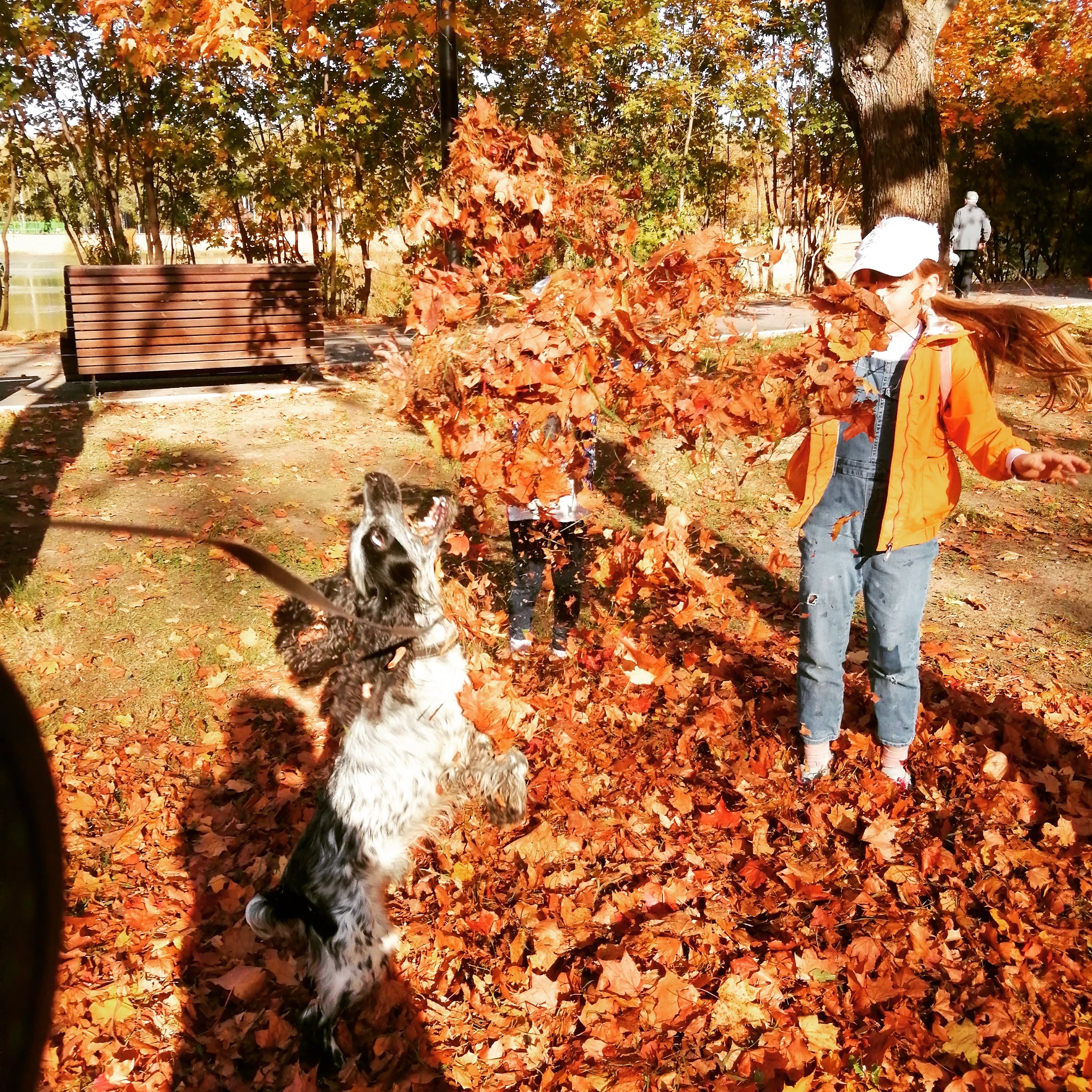 Фото участника: Елена Коротоножкина