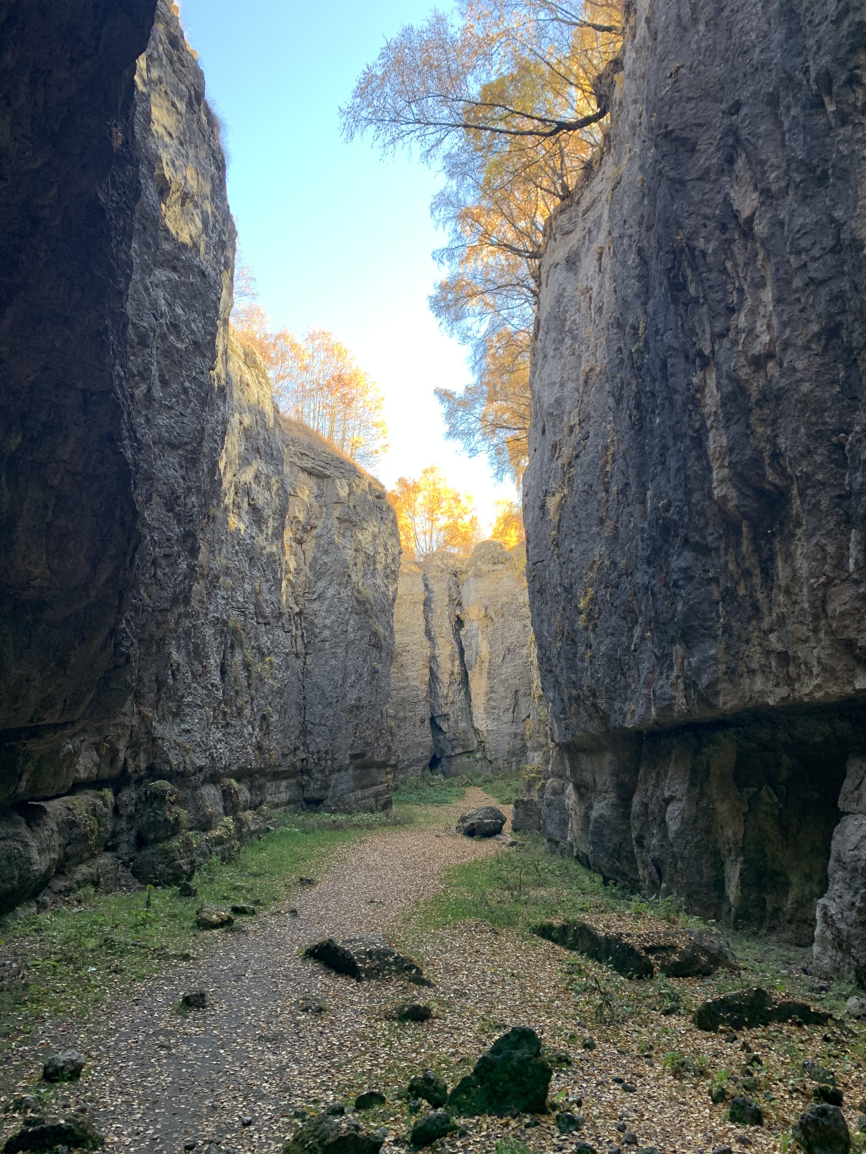 Фото участника: Гуля Брик
