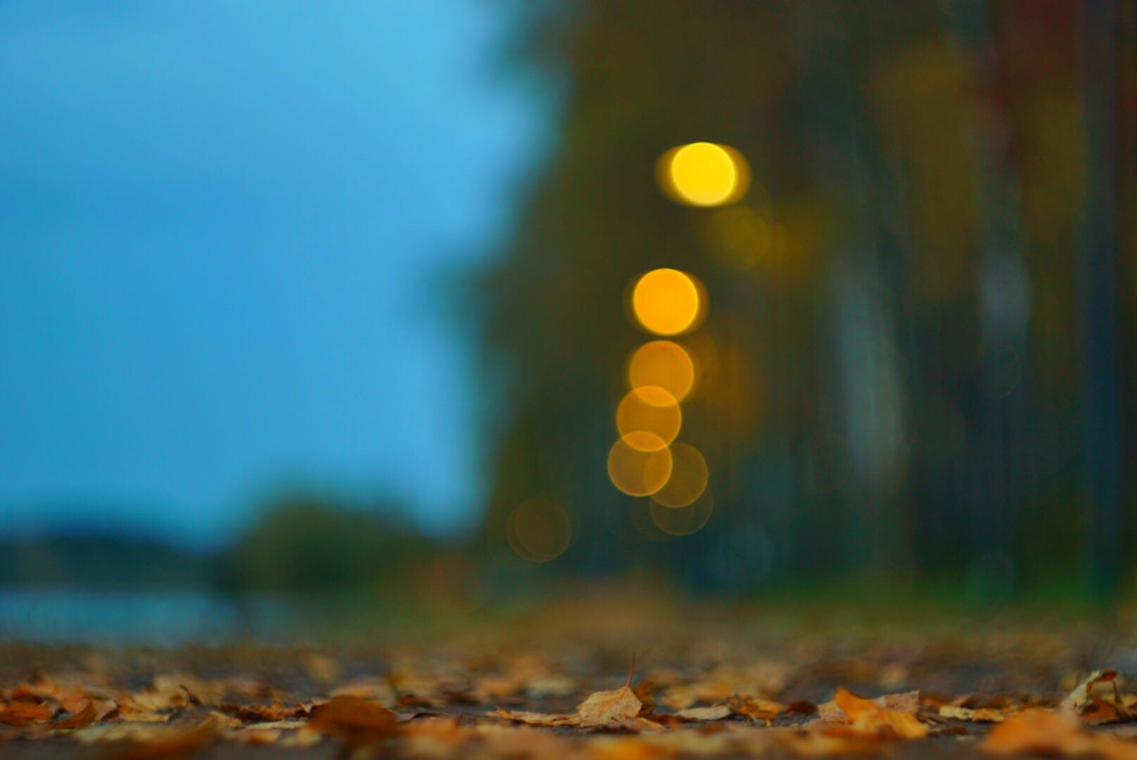 Фото участника: Ларионов Дмитрий