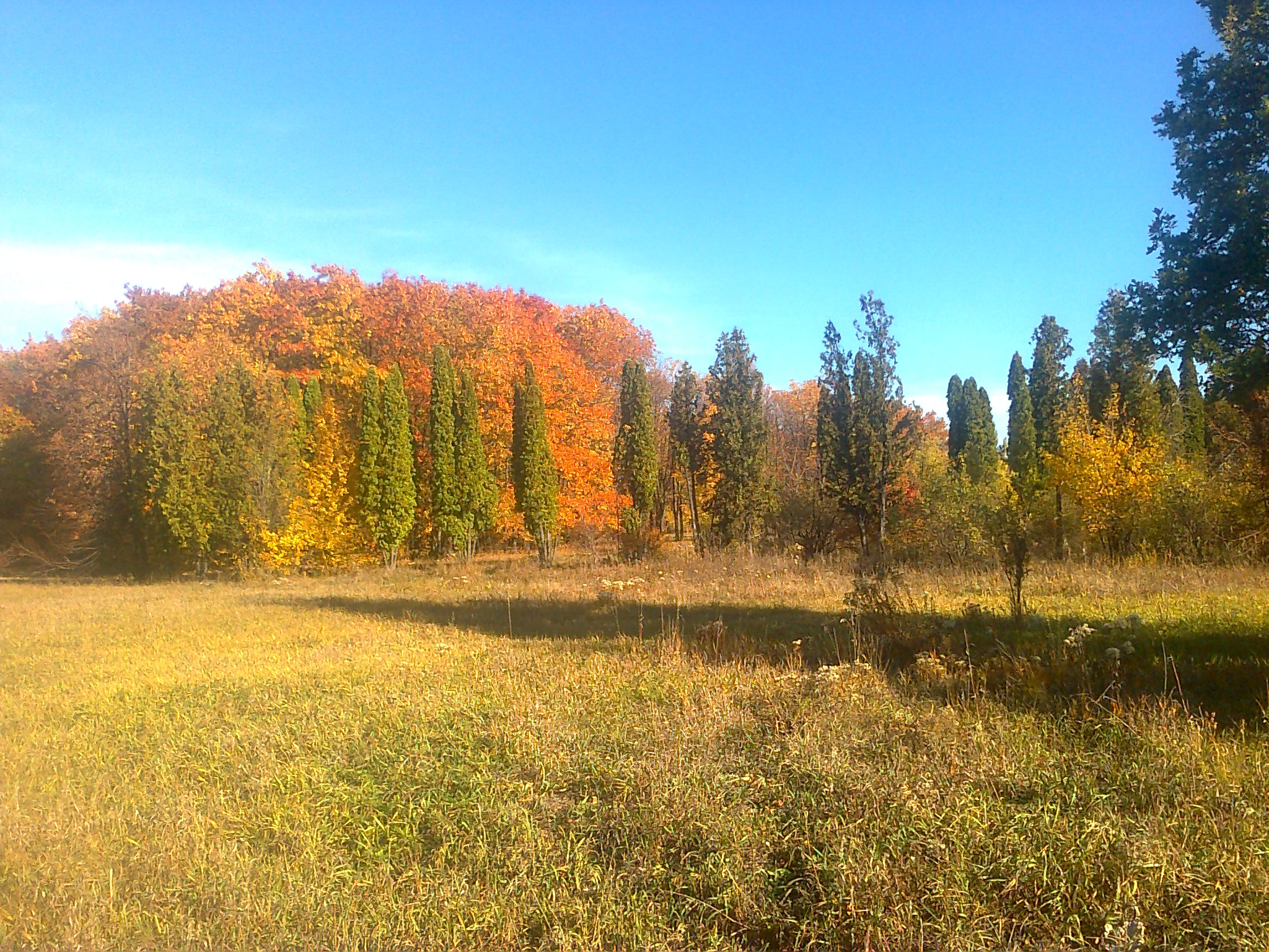 Фото участника: Чернокнижный Евгений