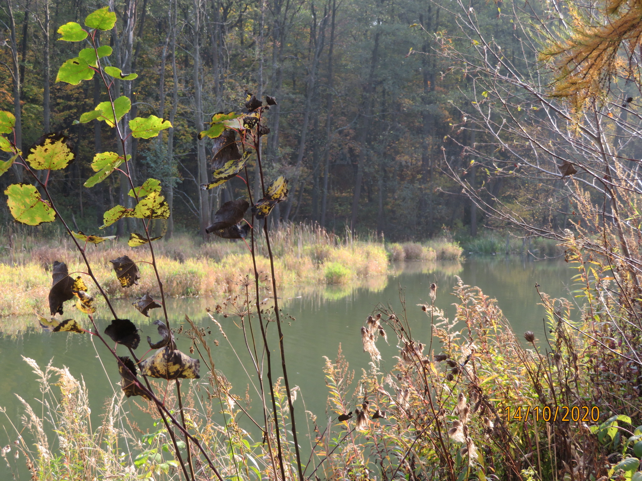 Фото участника: Давыдова Татьяна