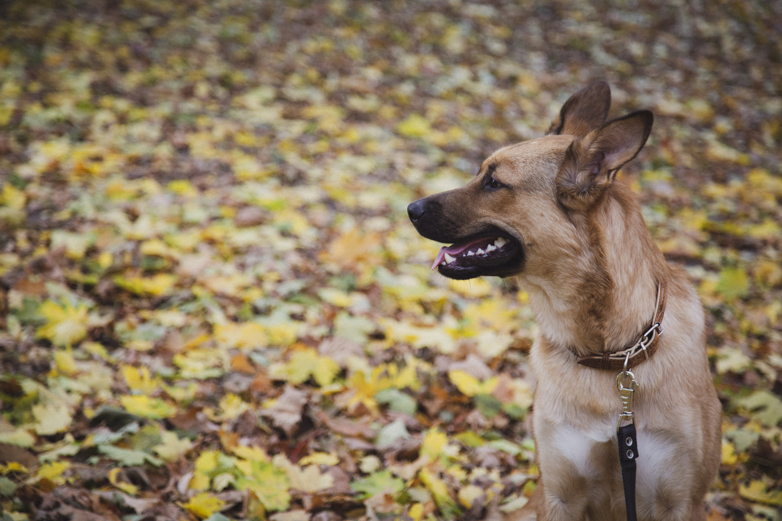 Фото участника: Людмила Жукова