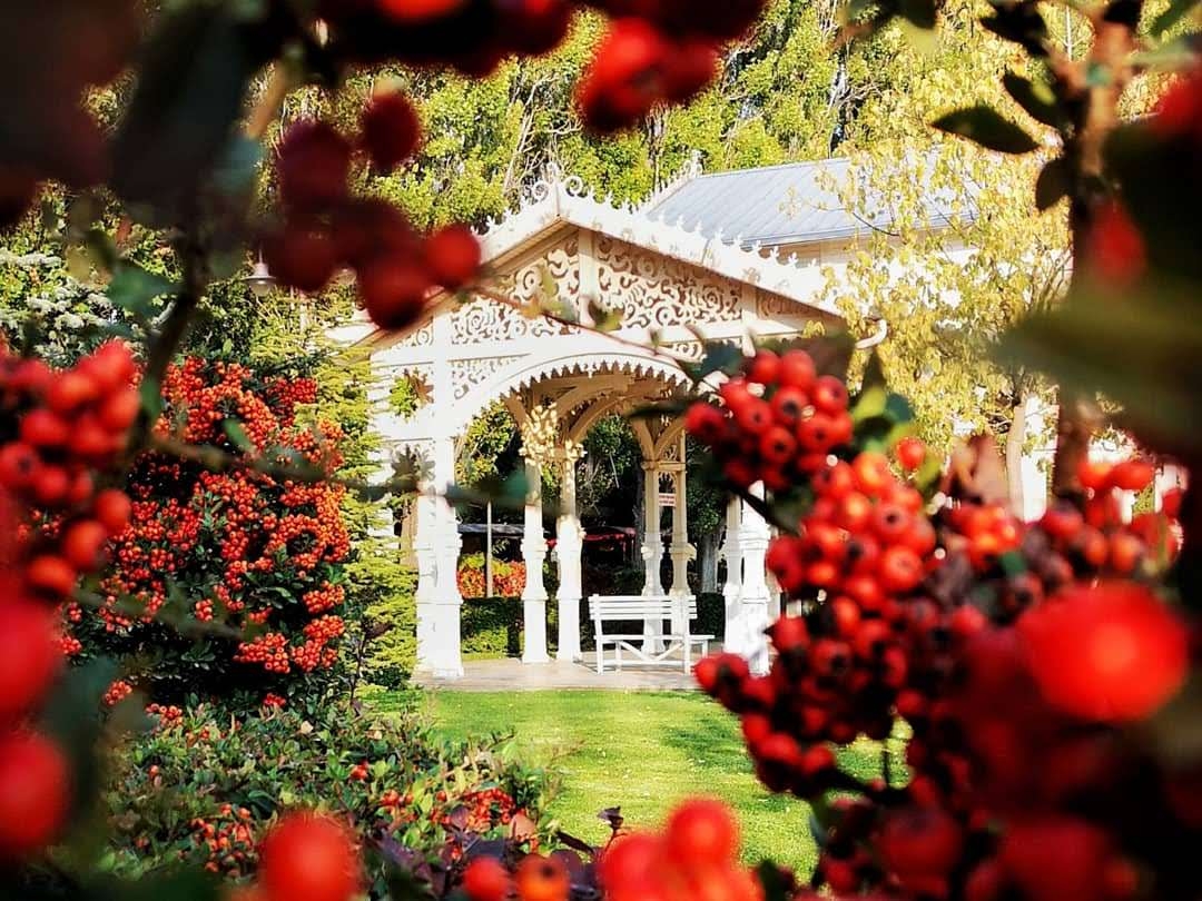 Фото участника: Гордеева Ксения