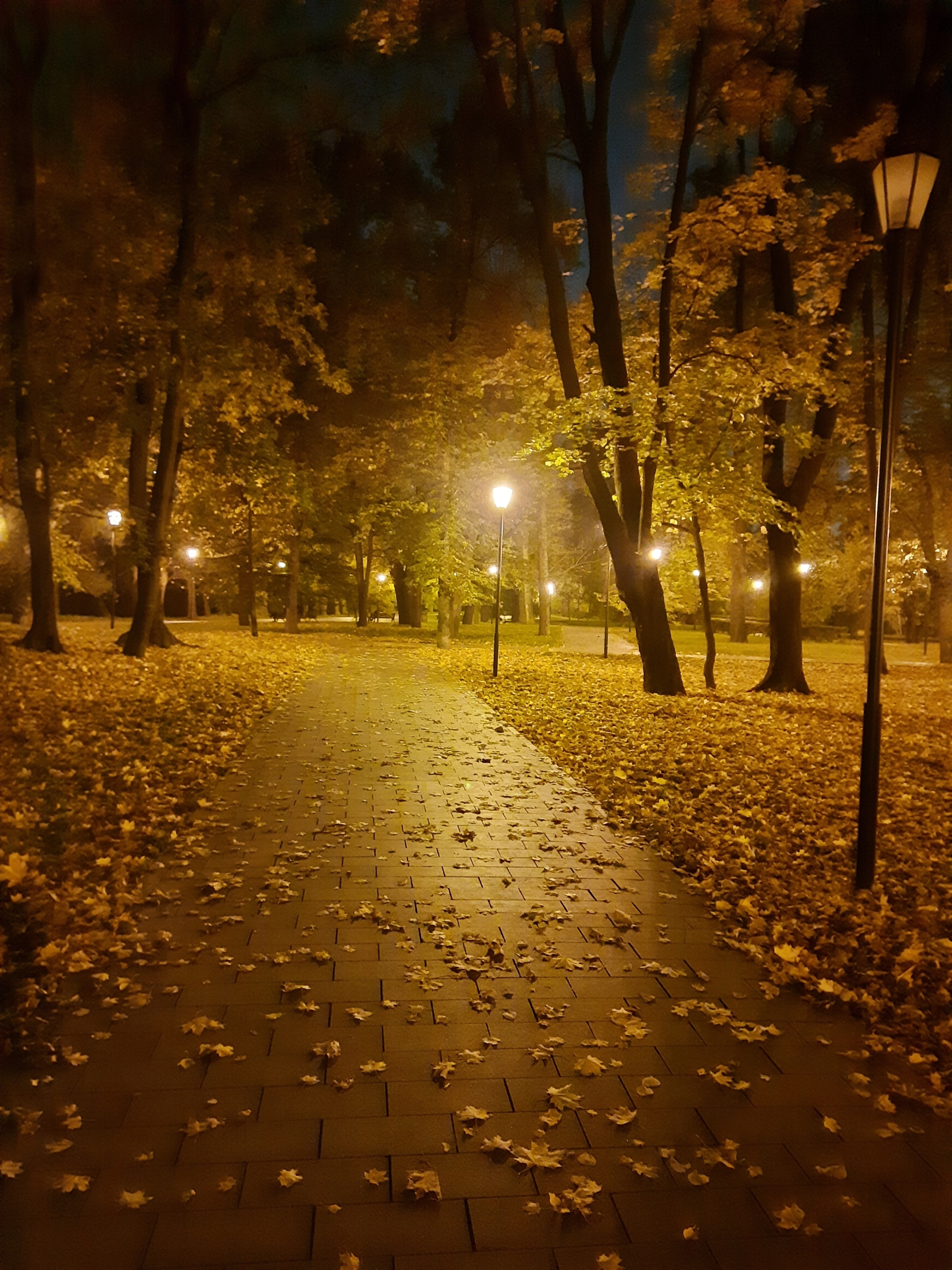 Фото участника: Kirill Vaha