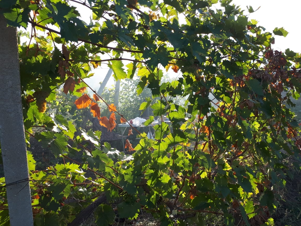 Фото участника: Наталья Орешина