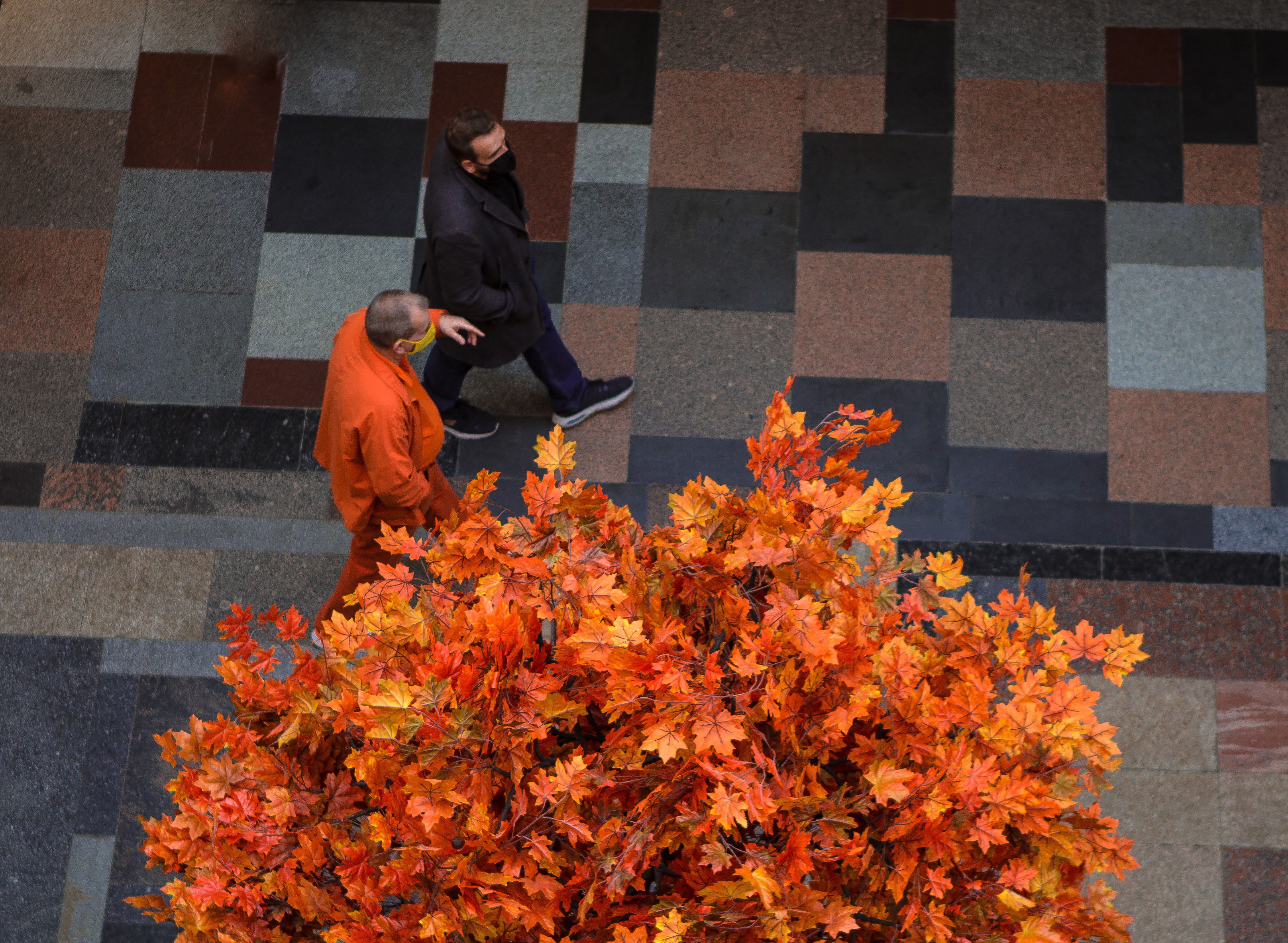 Фото участника: Вероника Конева