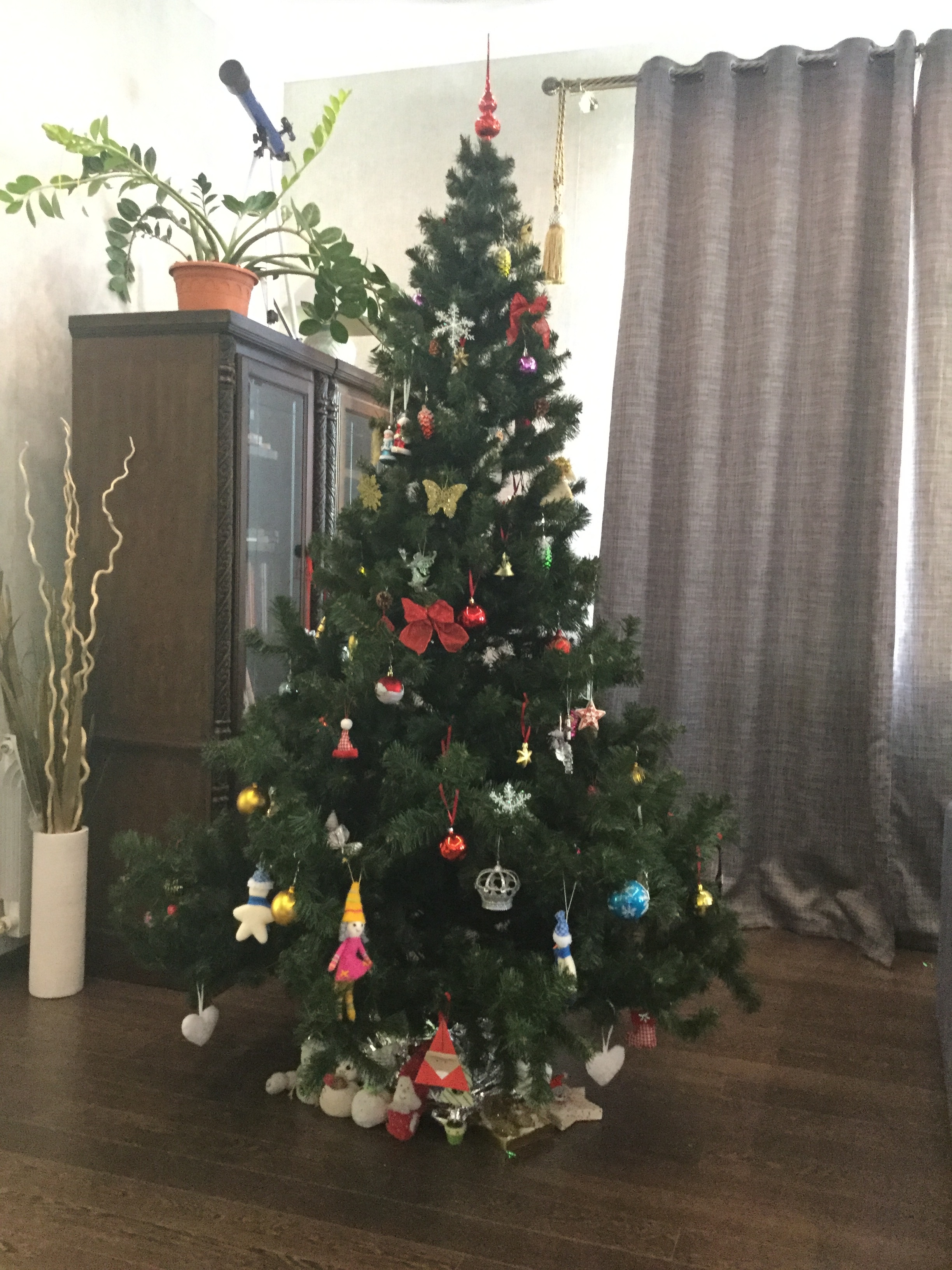 Фото участника: Шаммасова Эльмира