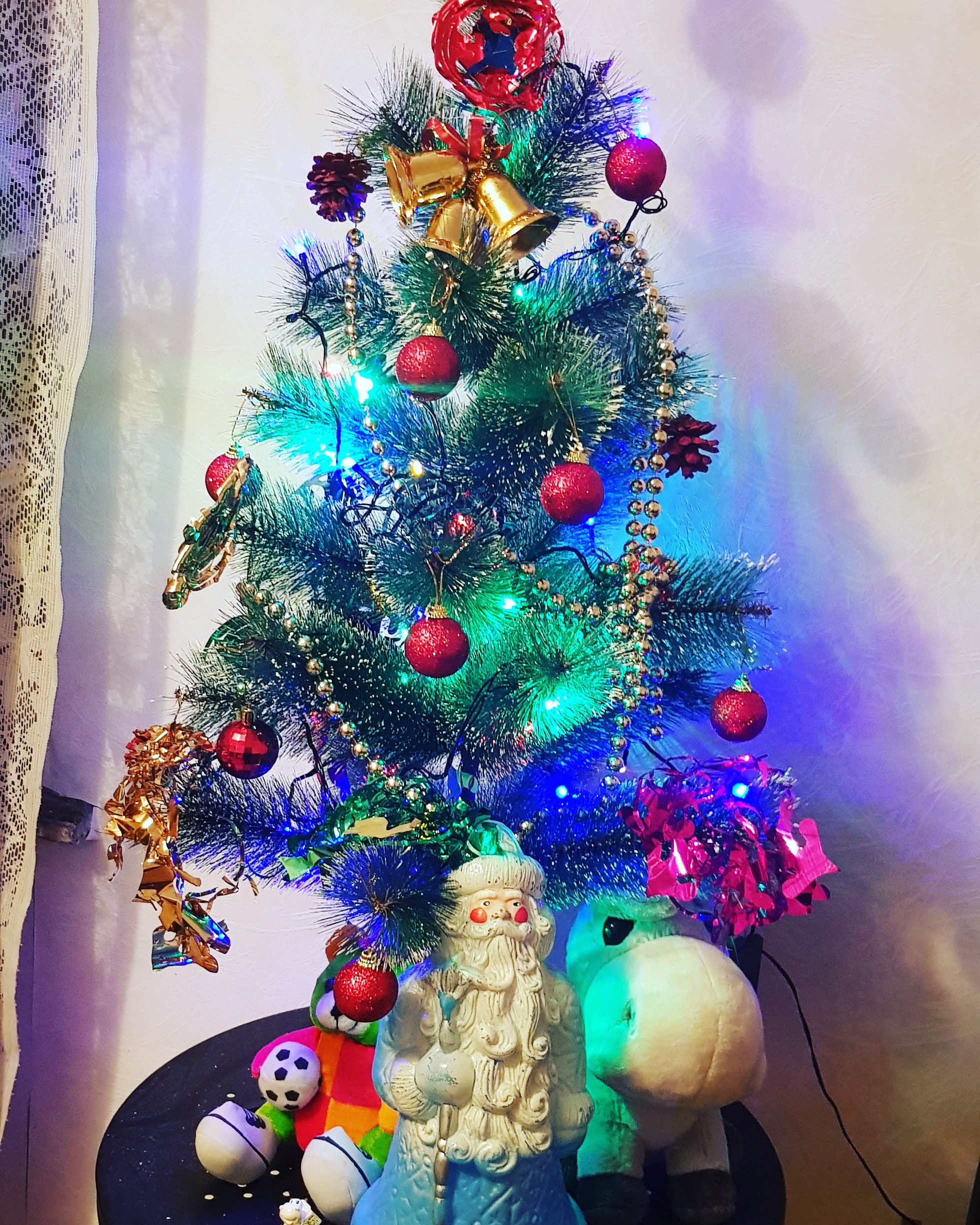 Фото участника: Дарья Кушнерова