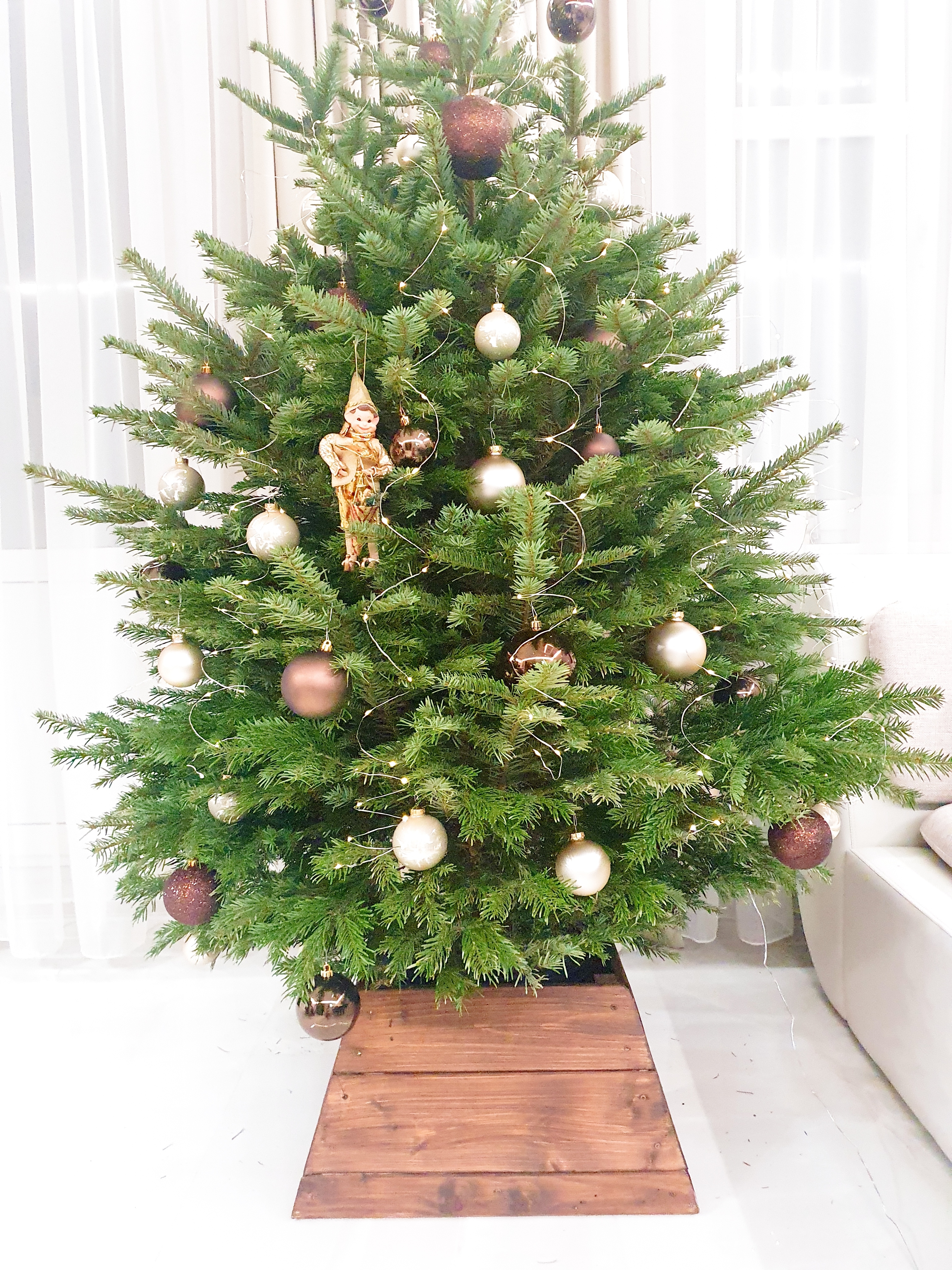 Фото участника: Назарова Ольга