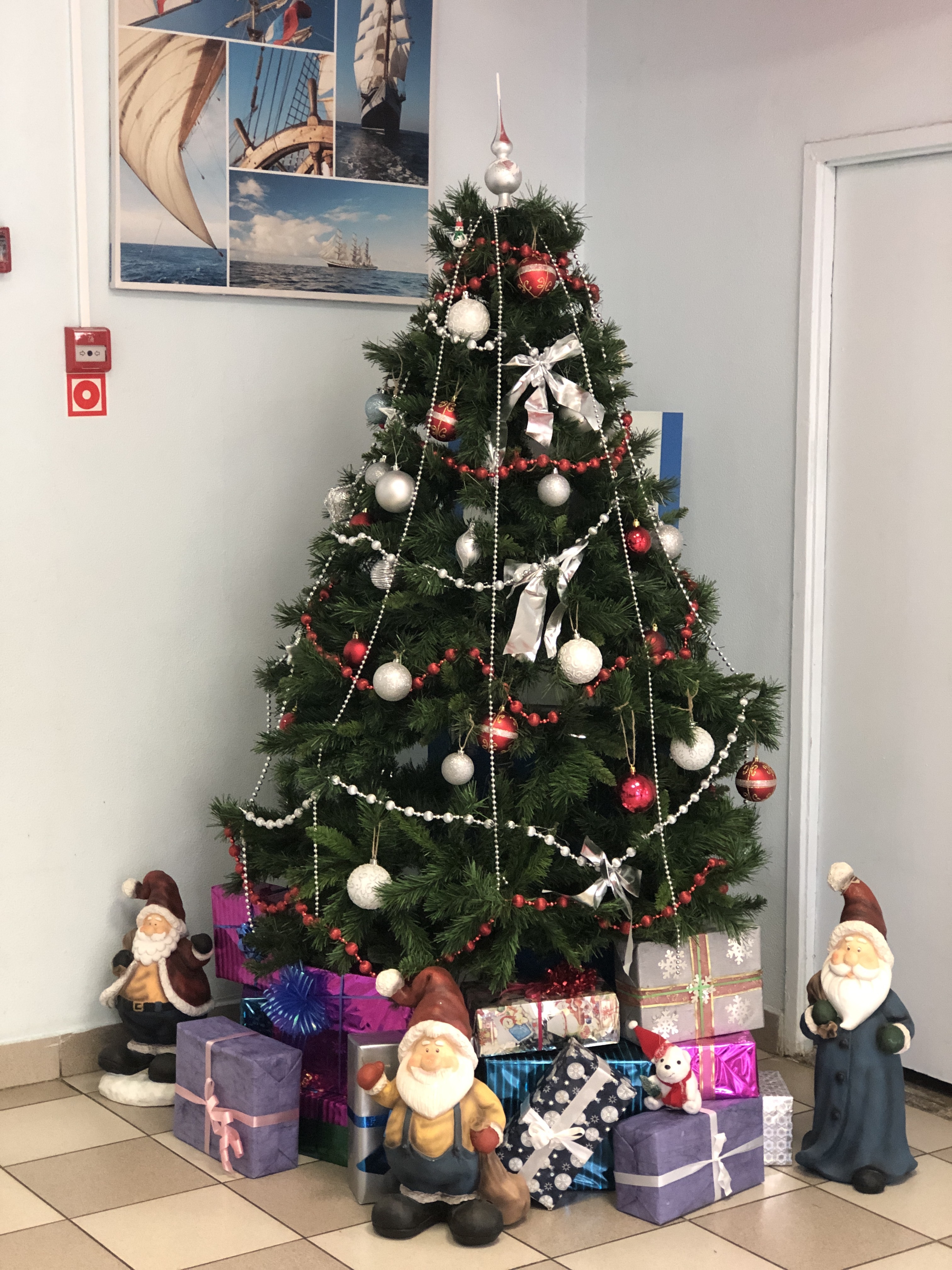 Фото участника: Наталья Чикина