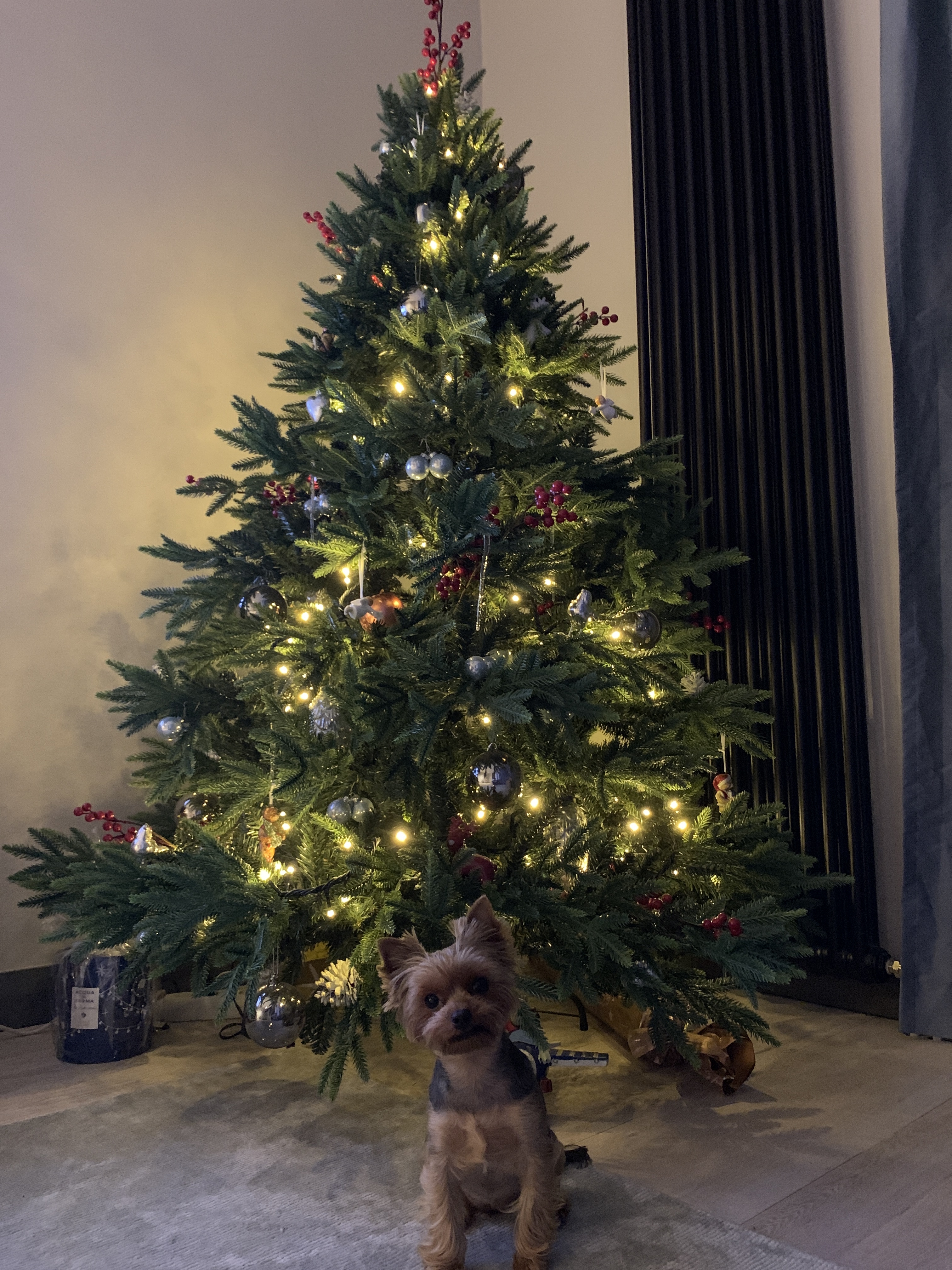 Фото участника: Томасс Нарубинс