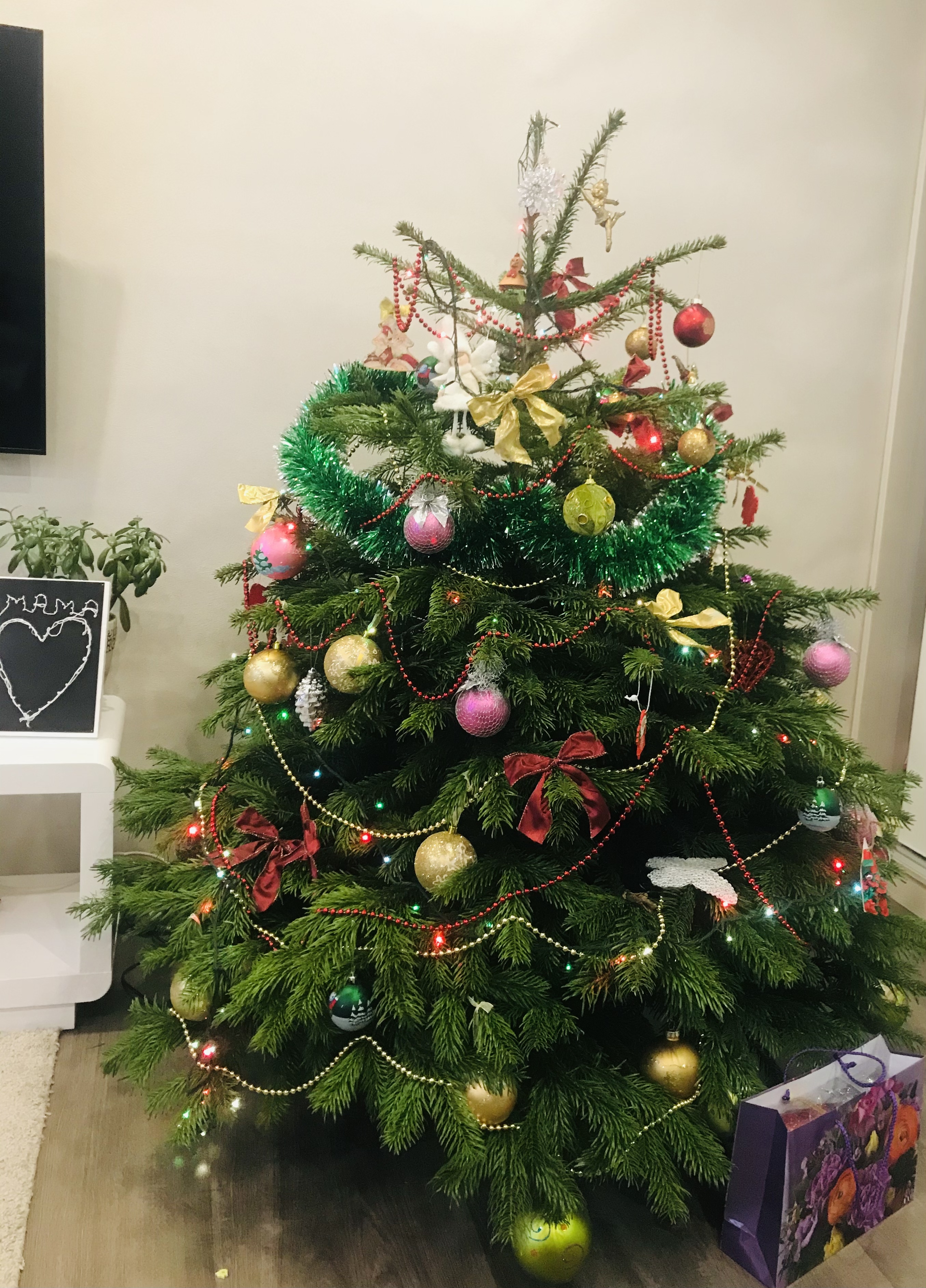 Фото участника: Ибрагимова Миляуша