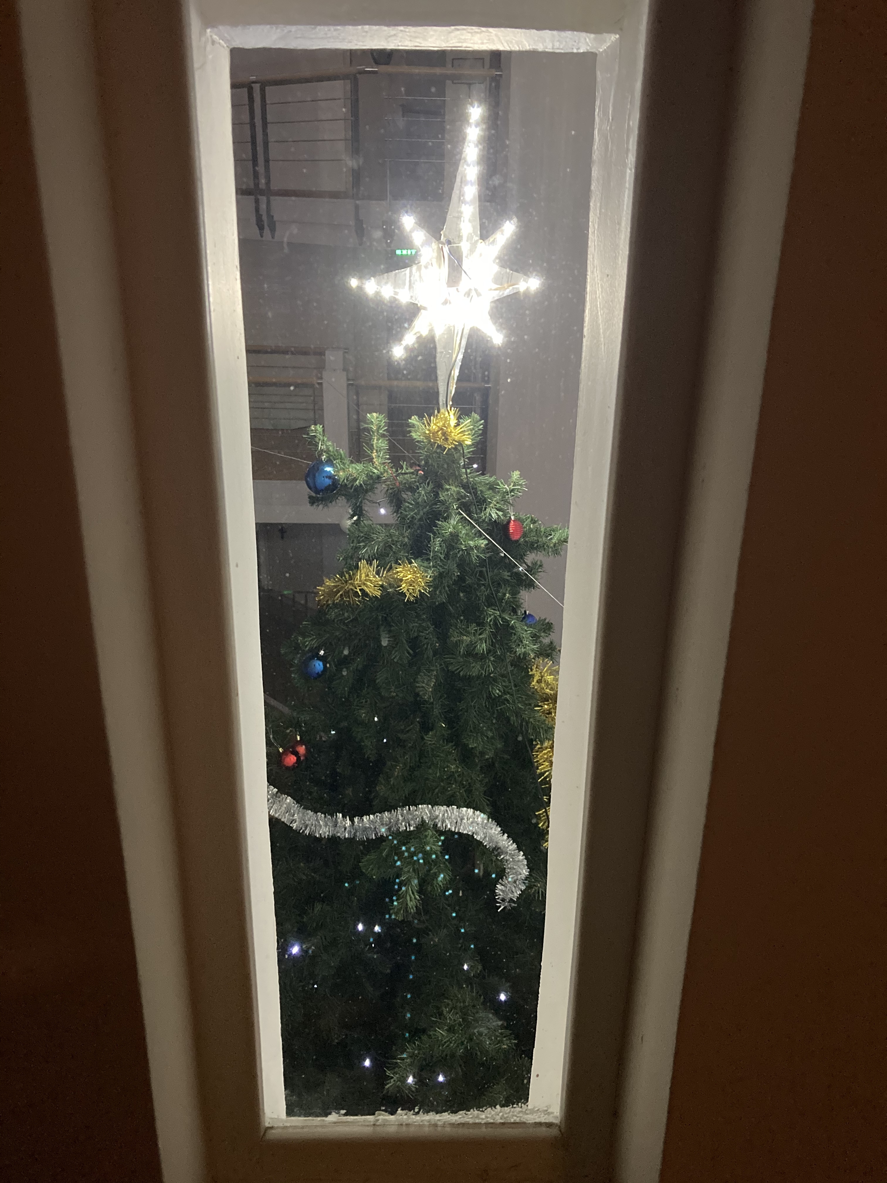 Фото участника: Серебринская Екатерина