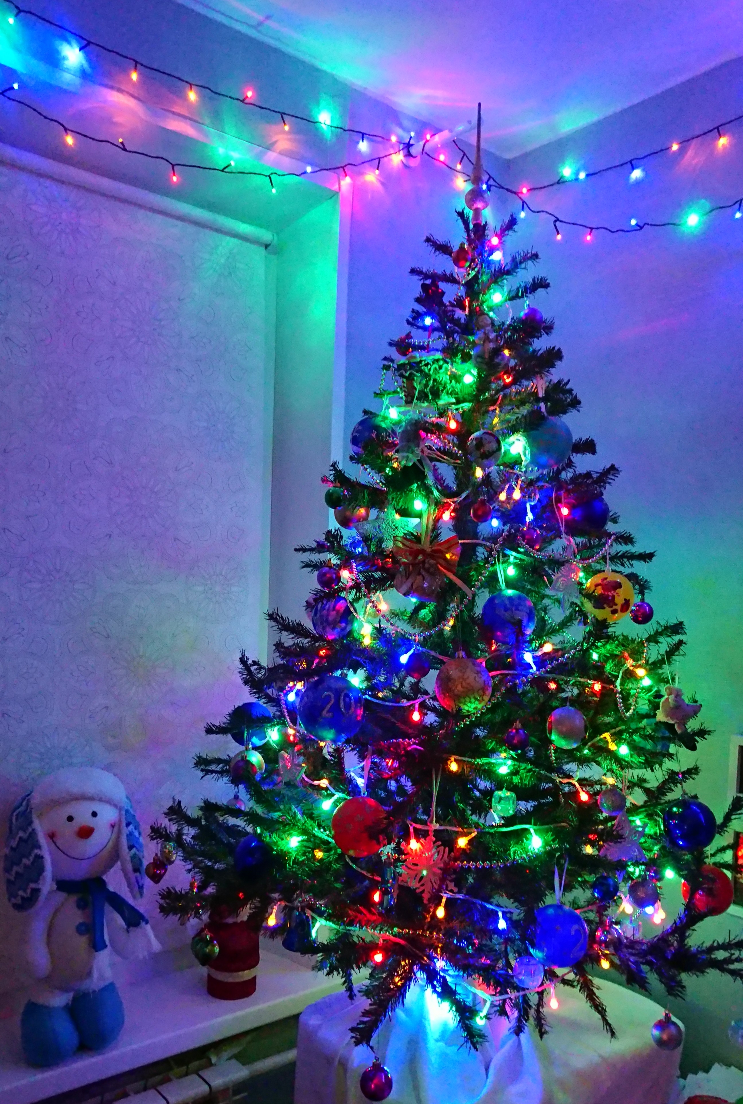 Фото участника: Акулина Елена