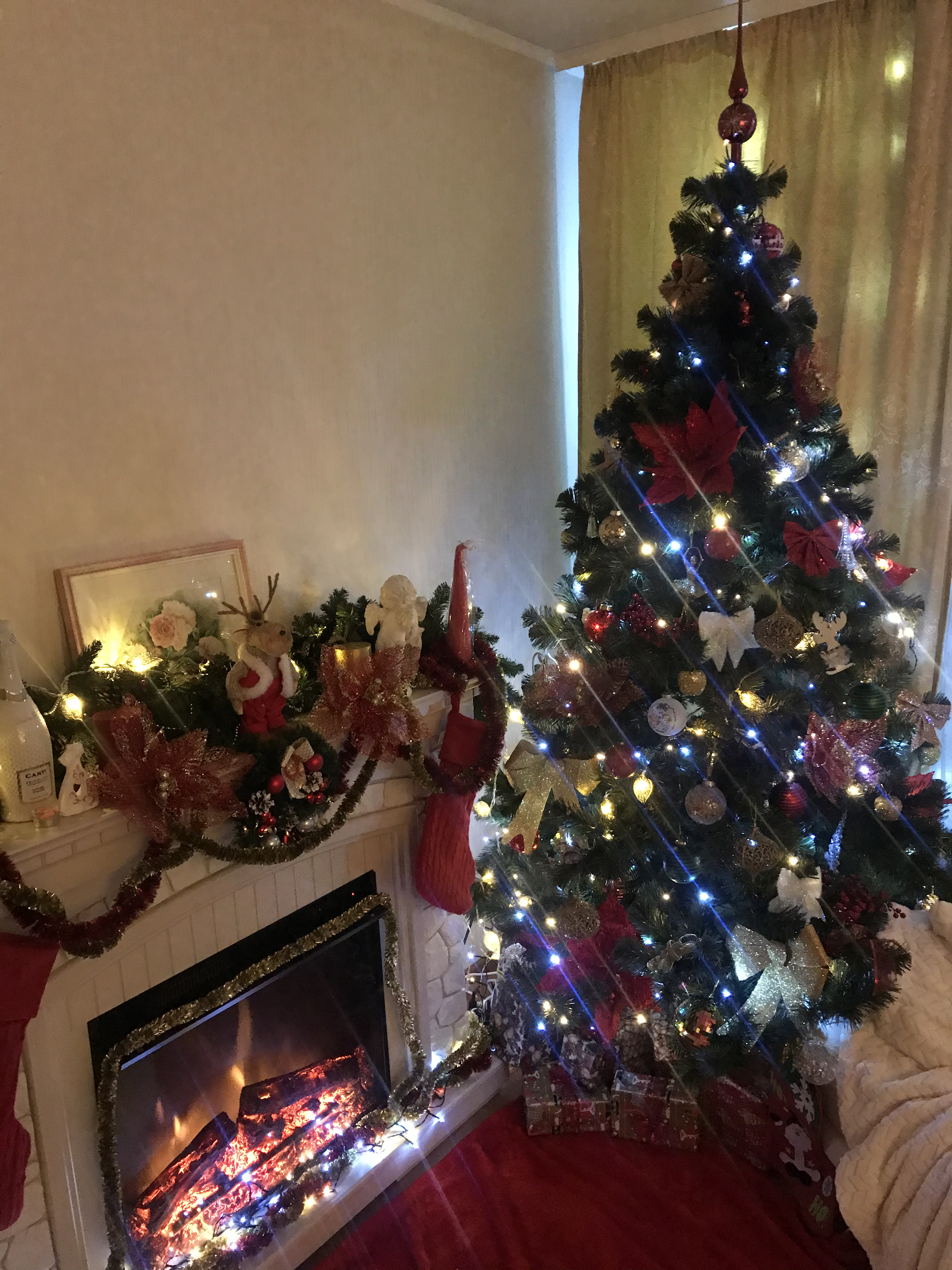 Фото участника: Мерзлякова Екатерина