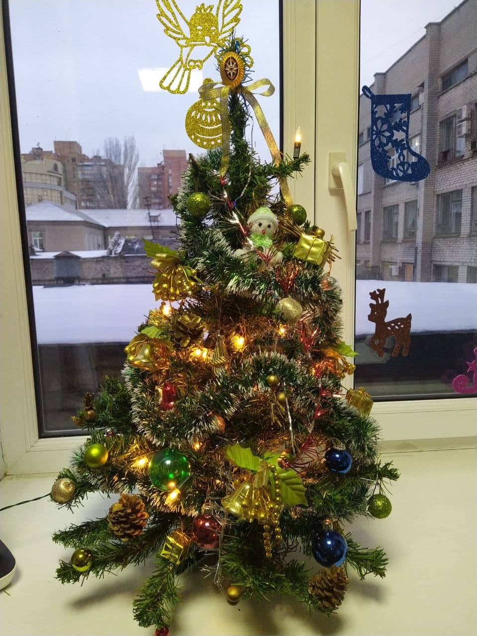 Фото участника: Соколова Ольга