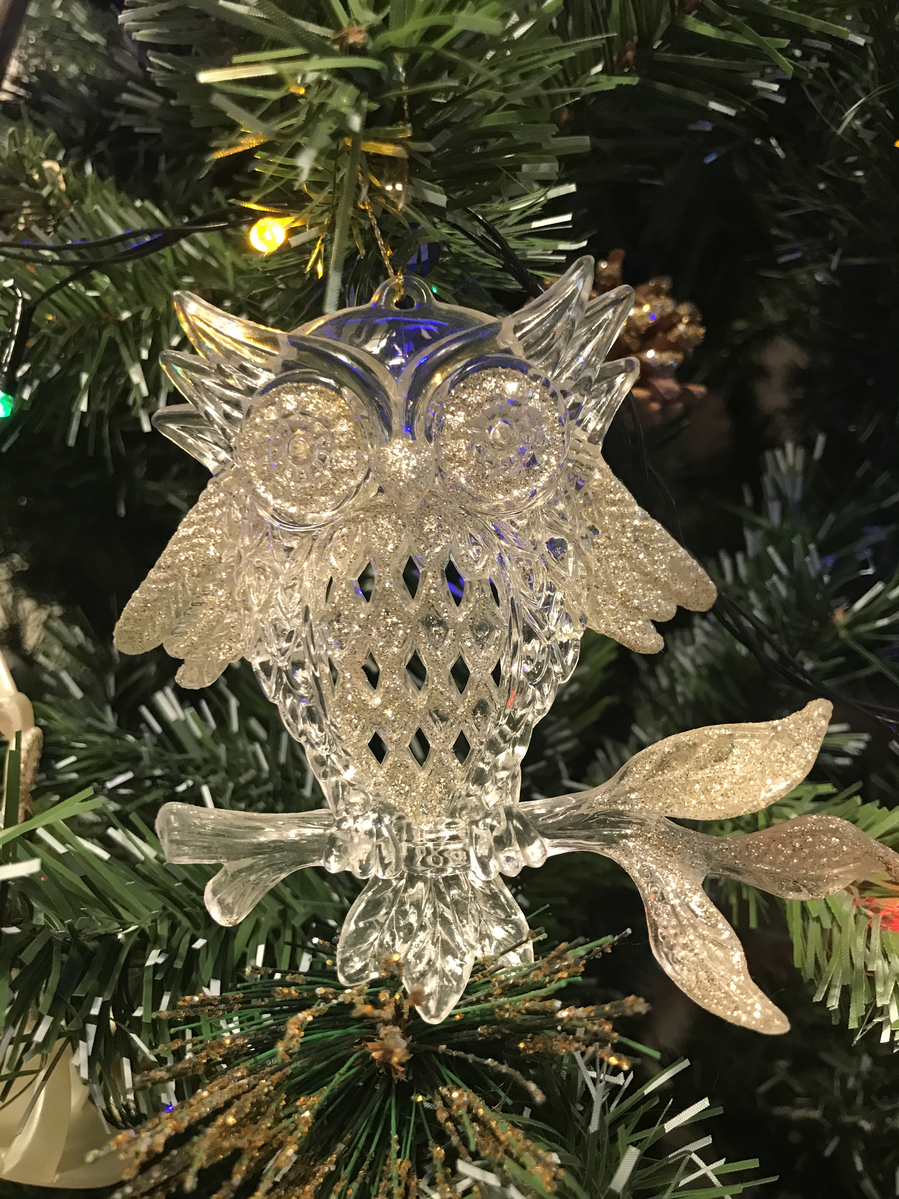 Екатерина Мартынова