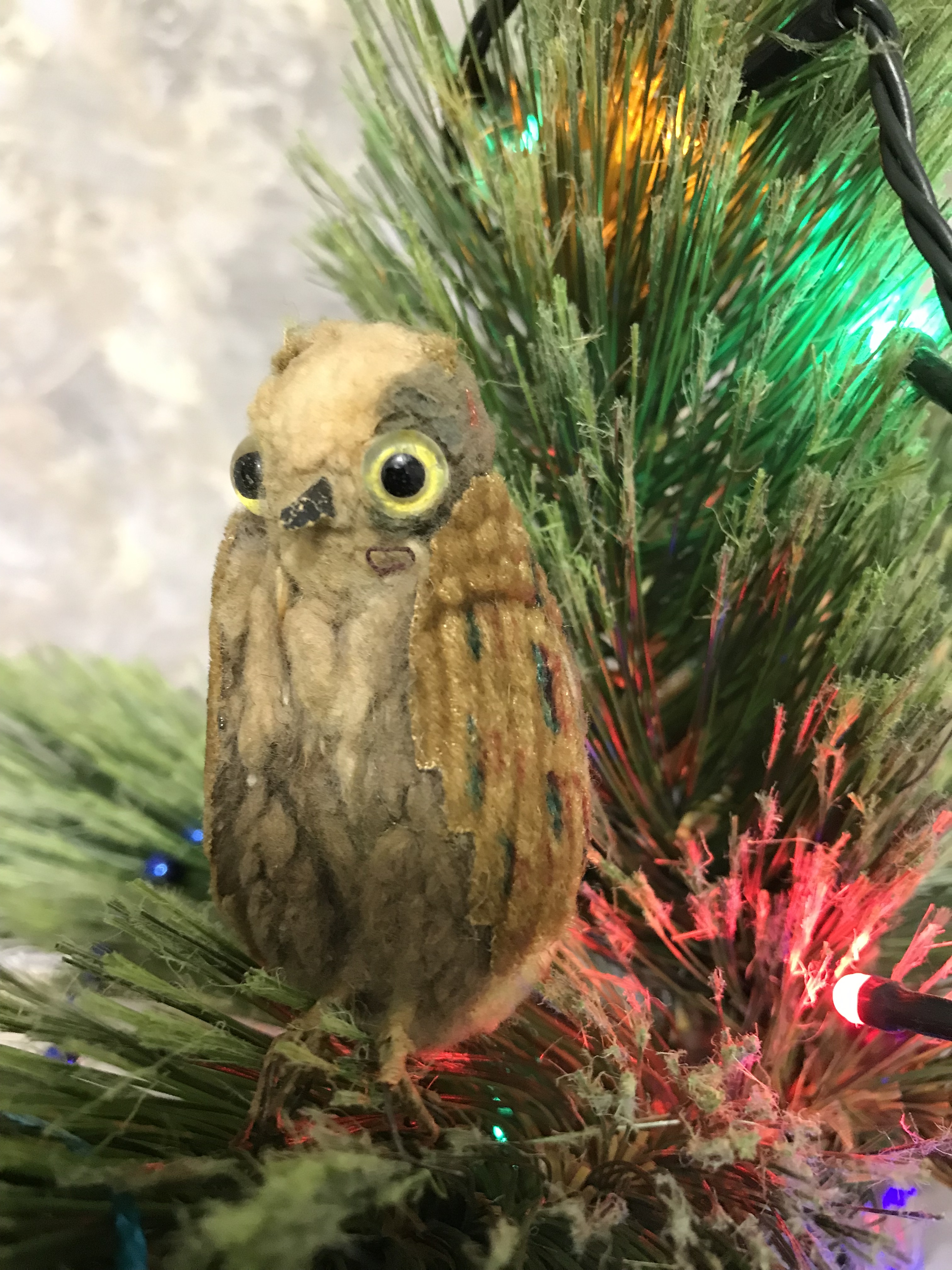 Виталий Коломацкий