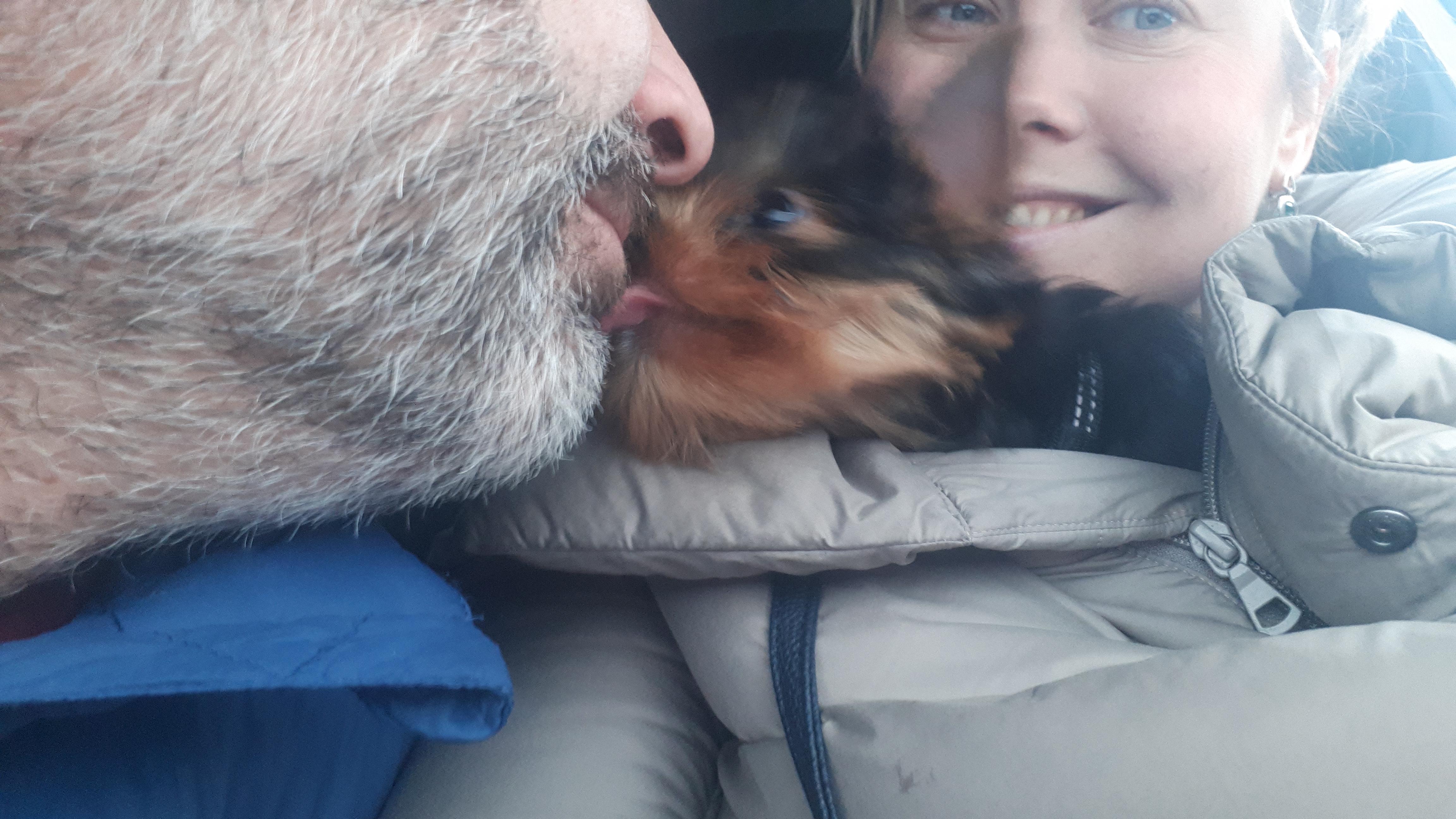 Светлана Шатова