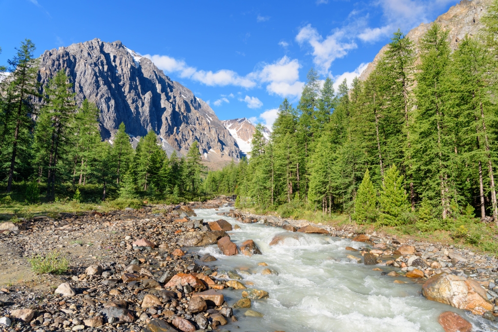 Природная магия: Золотые горы Алтая