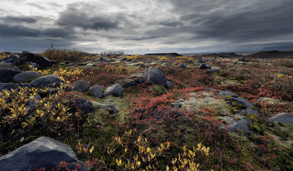 Териберка — путешествие для души